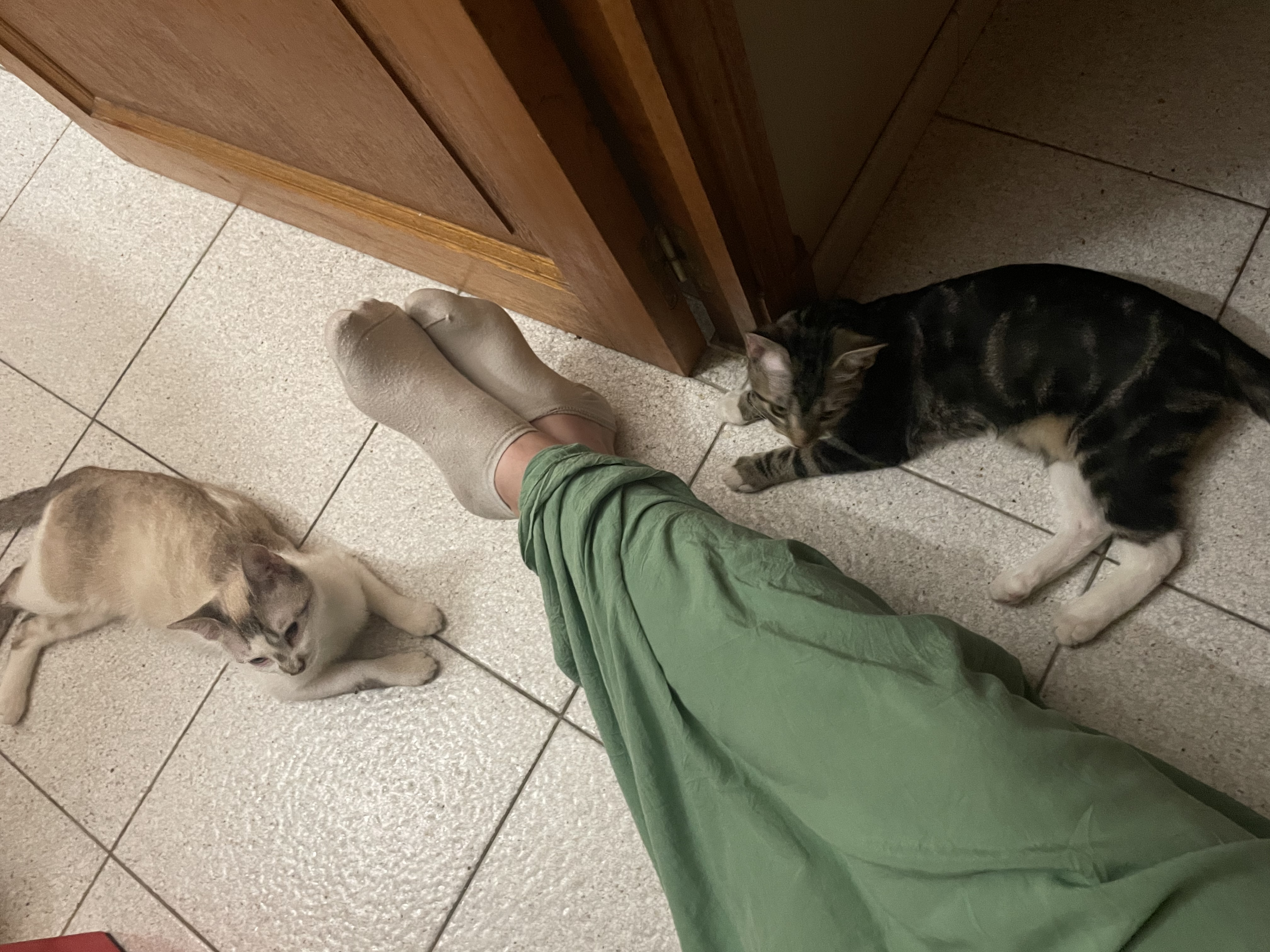 image-7