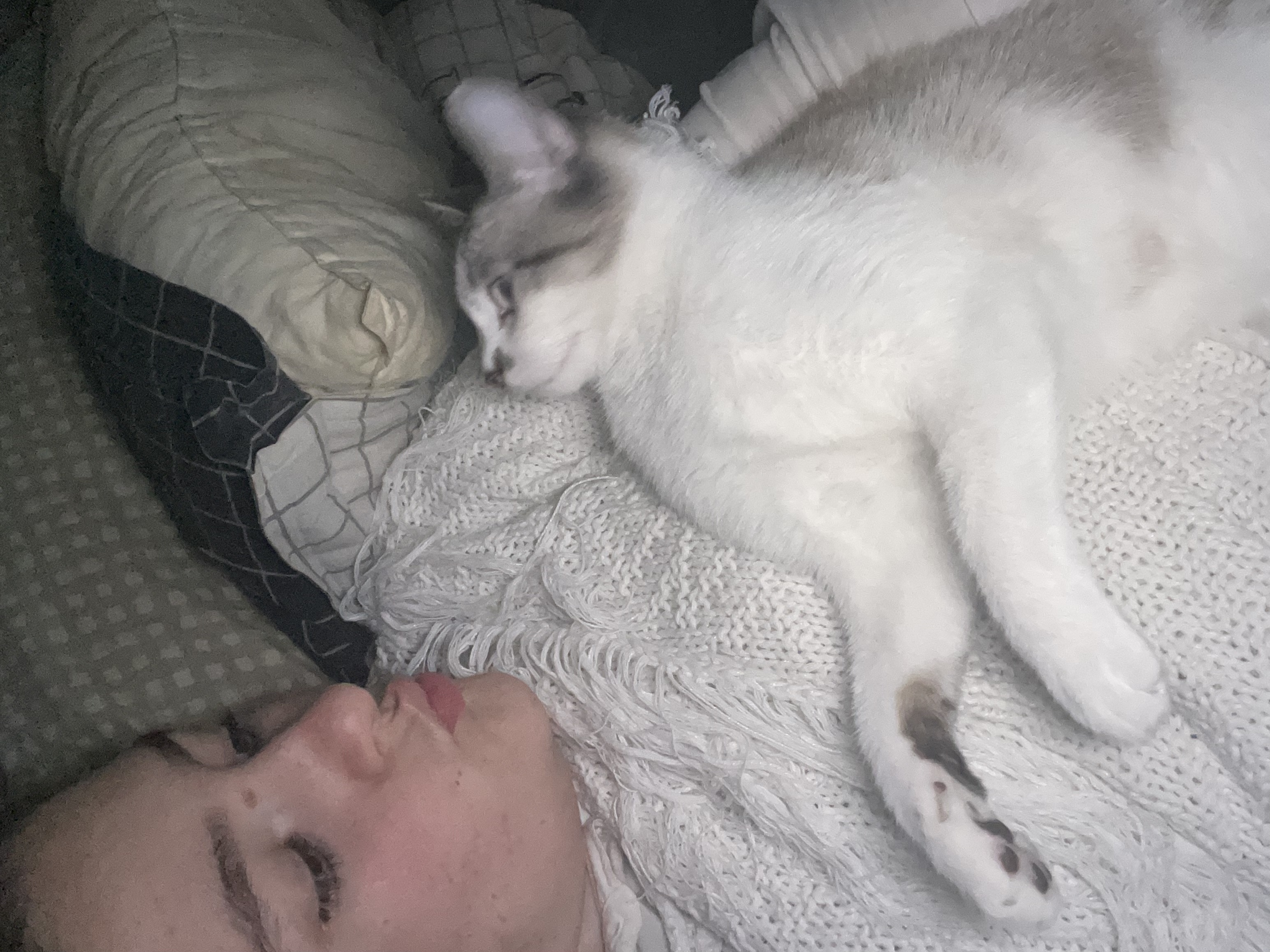 image-8