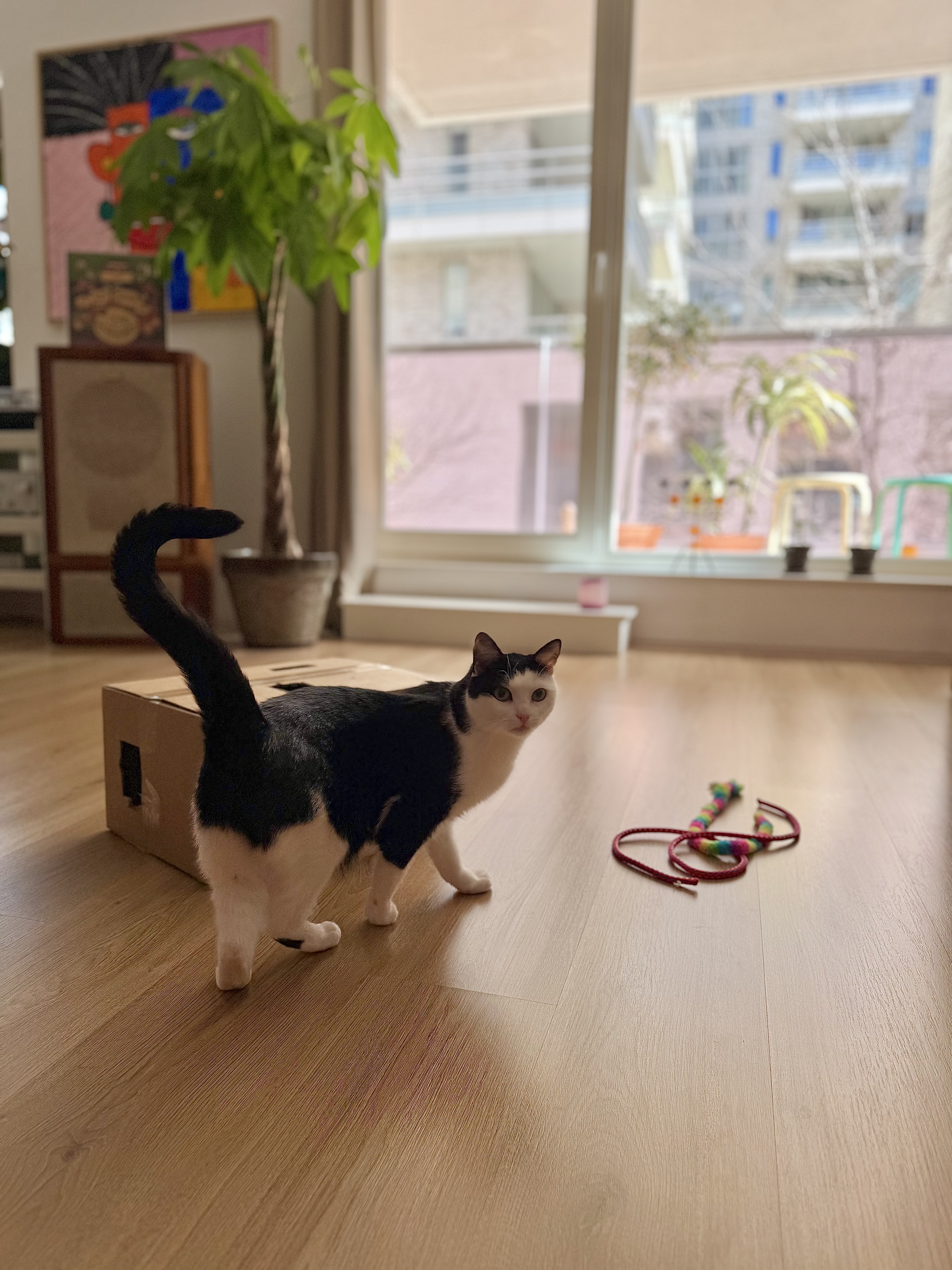 image-10