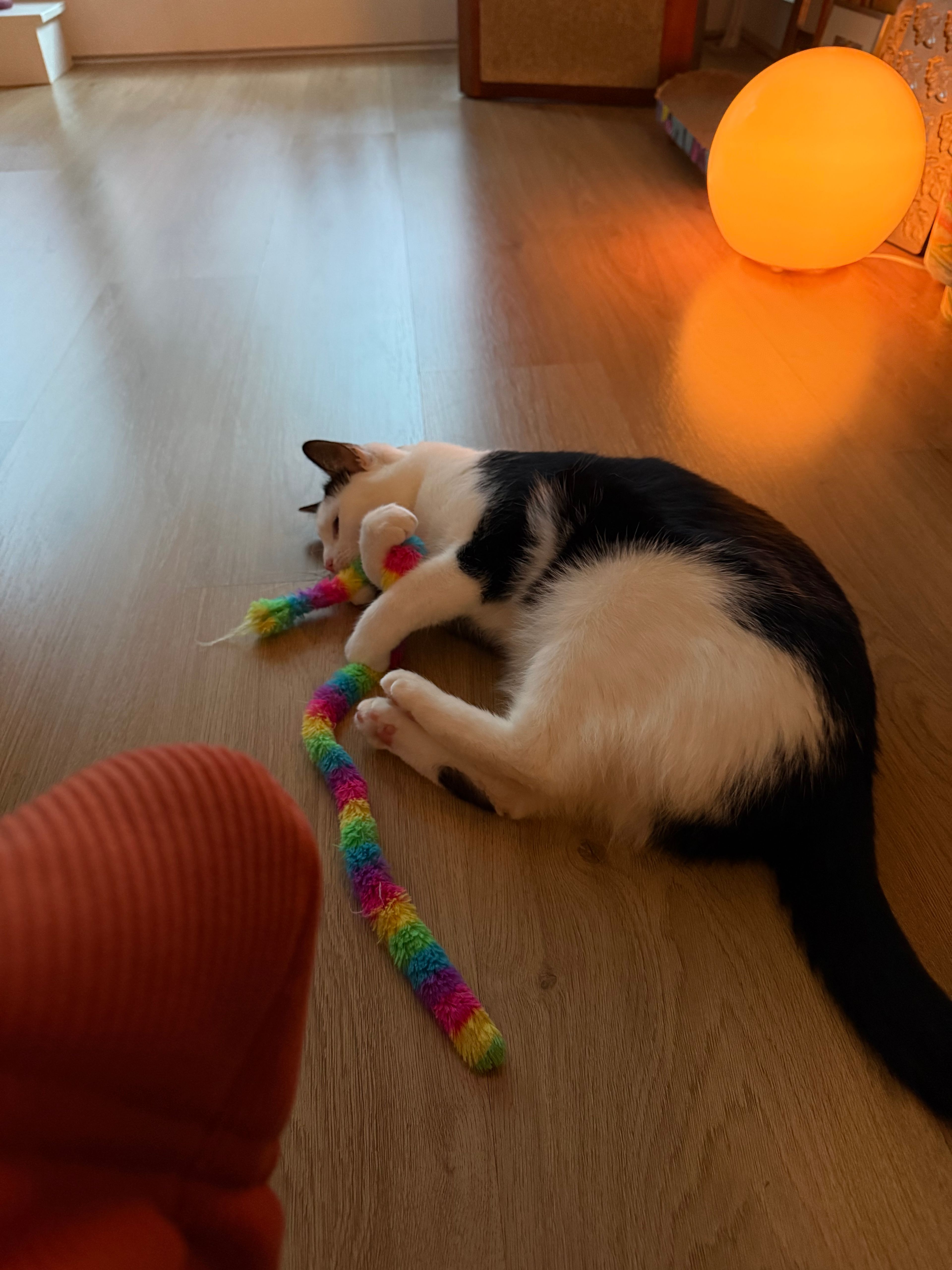 image-12
