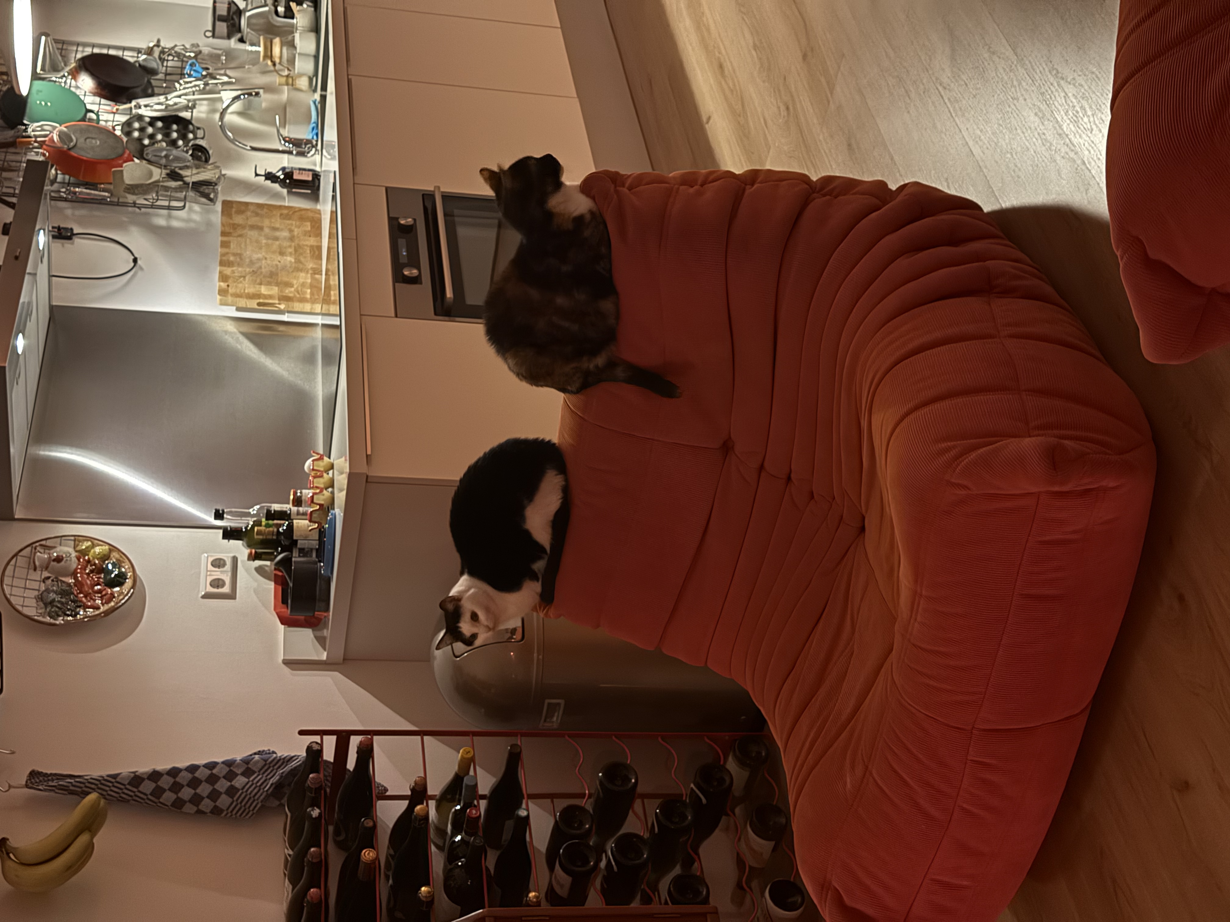 image-13