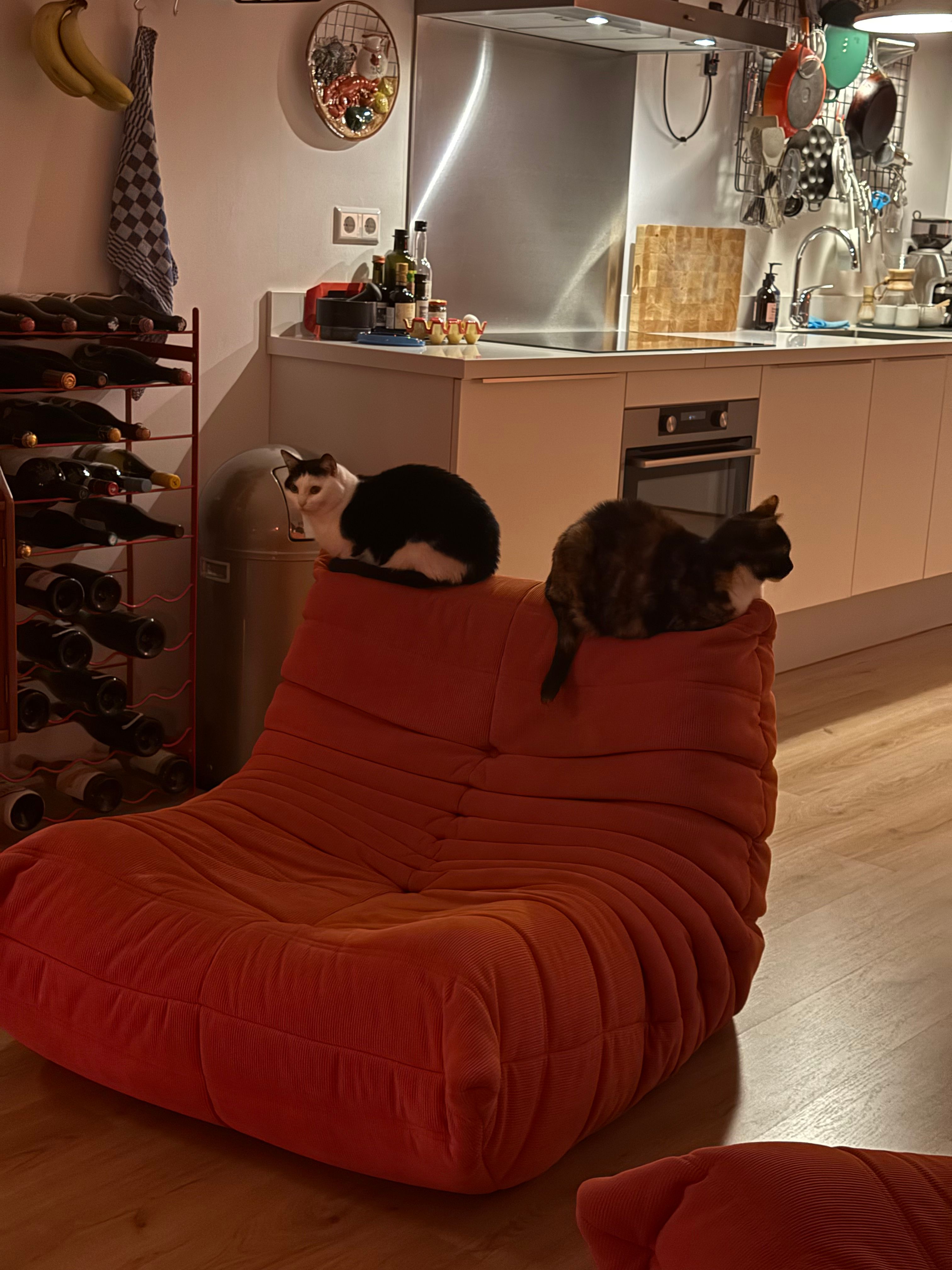 image-13