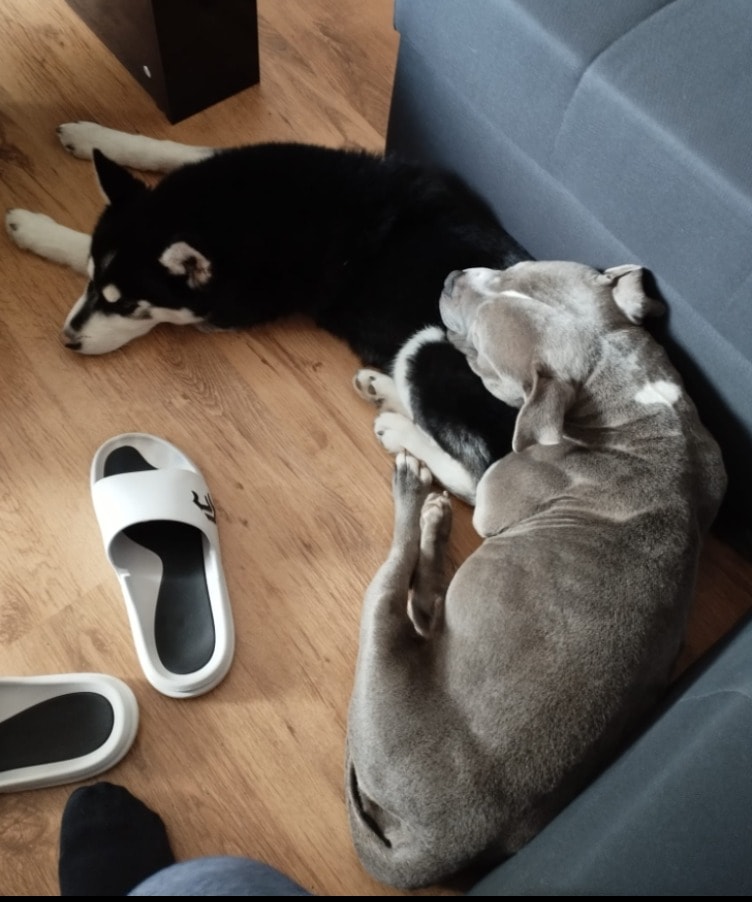image-4