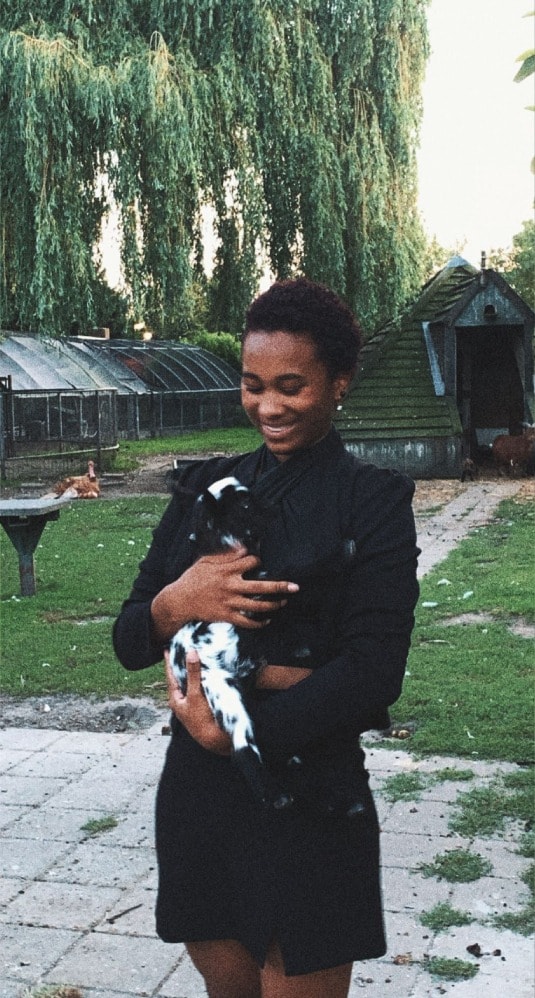 image-9