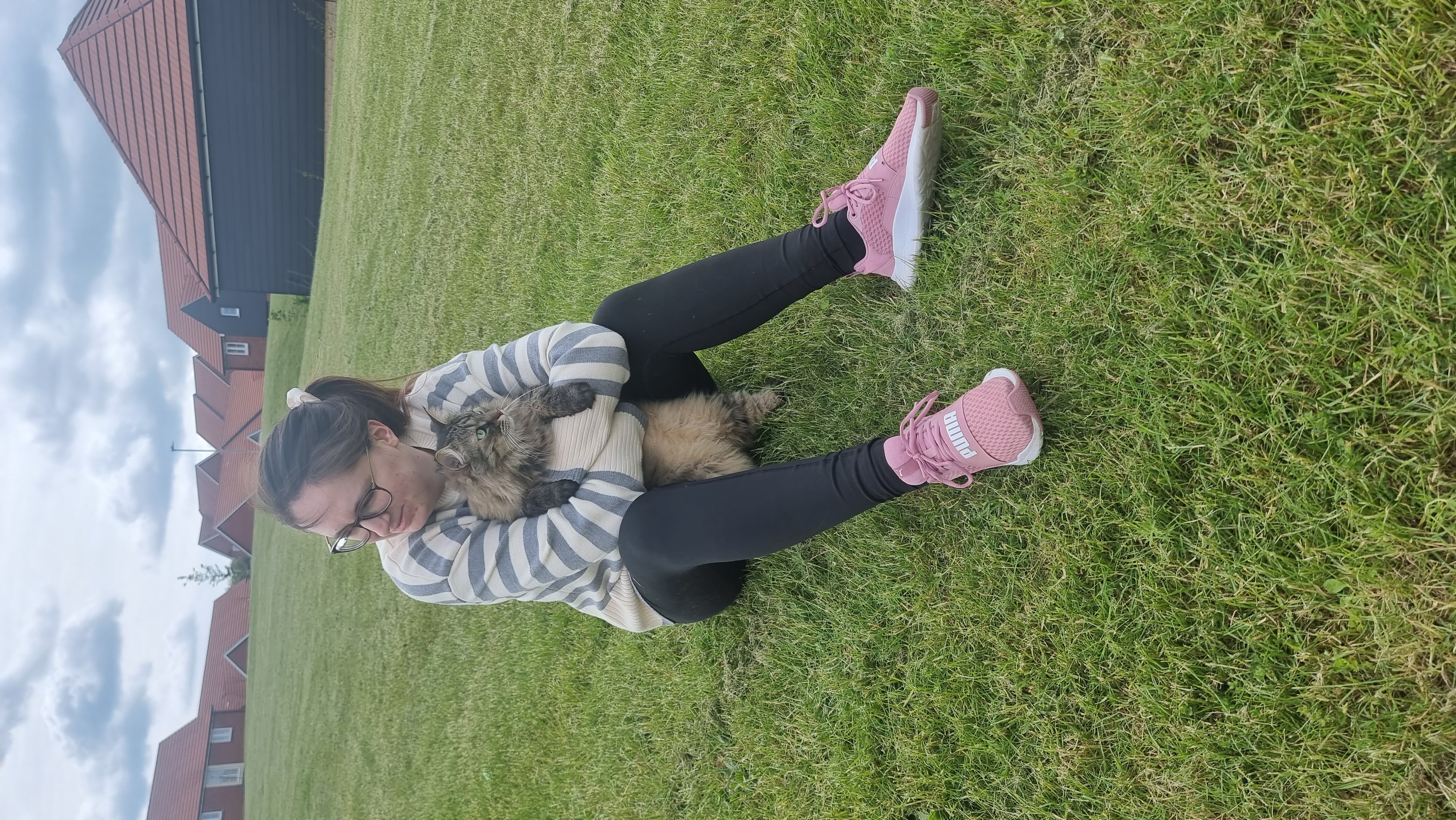 image-7