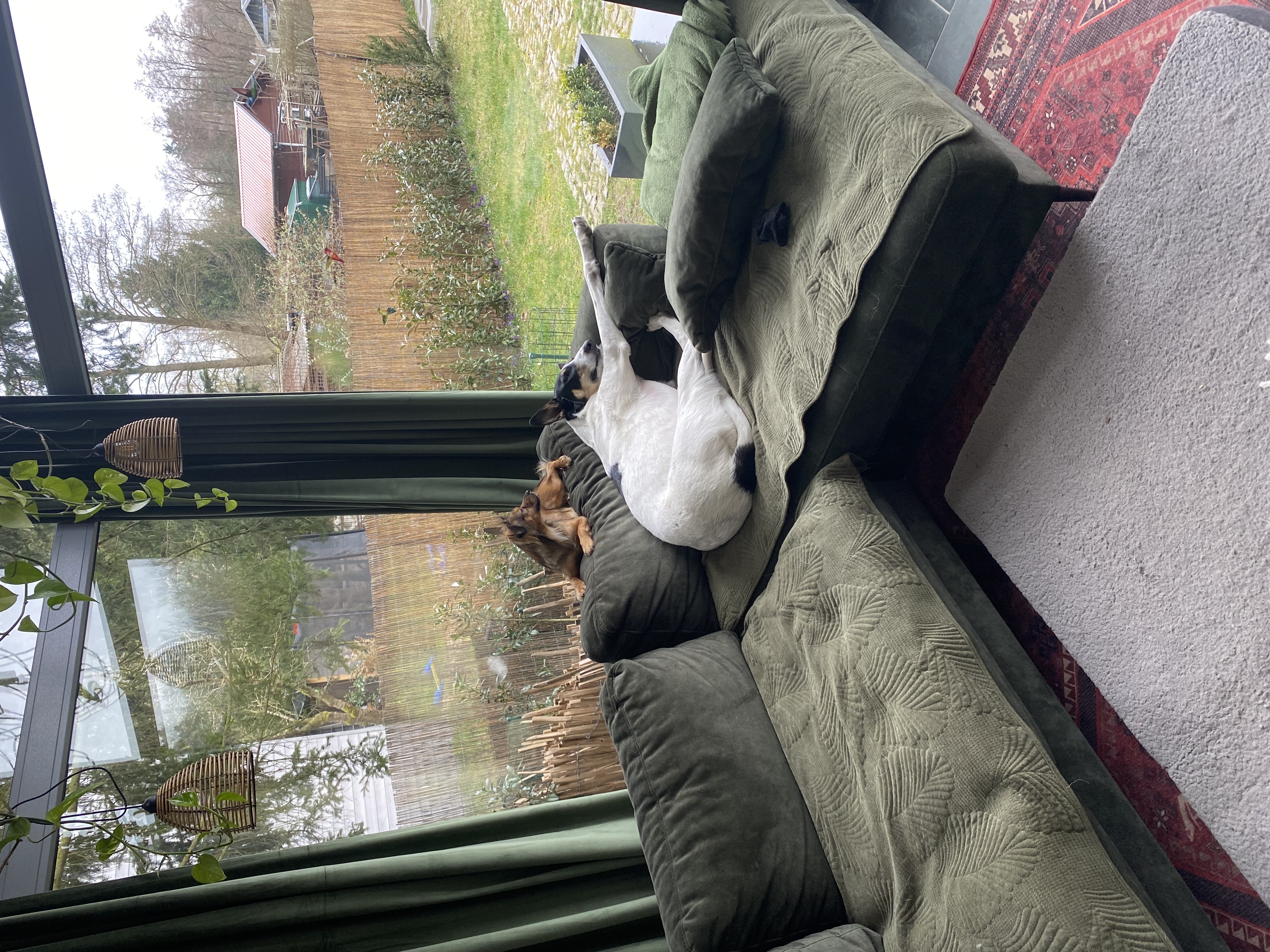 image-10