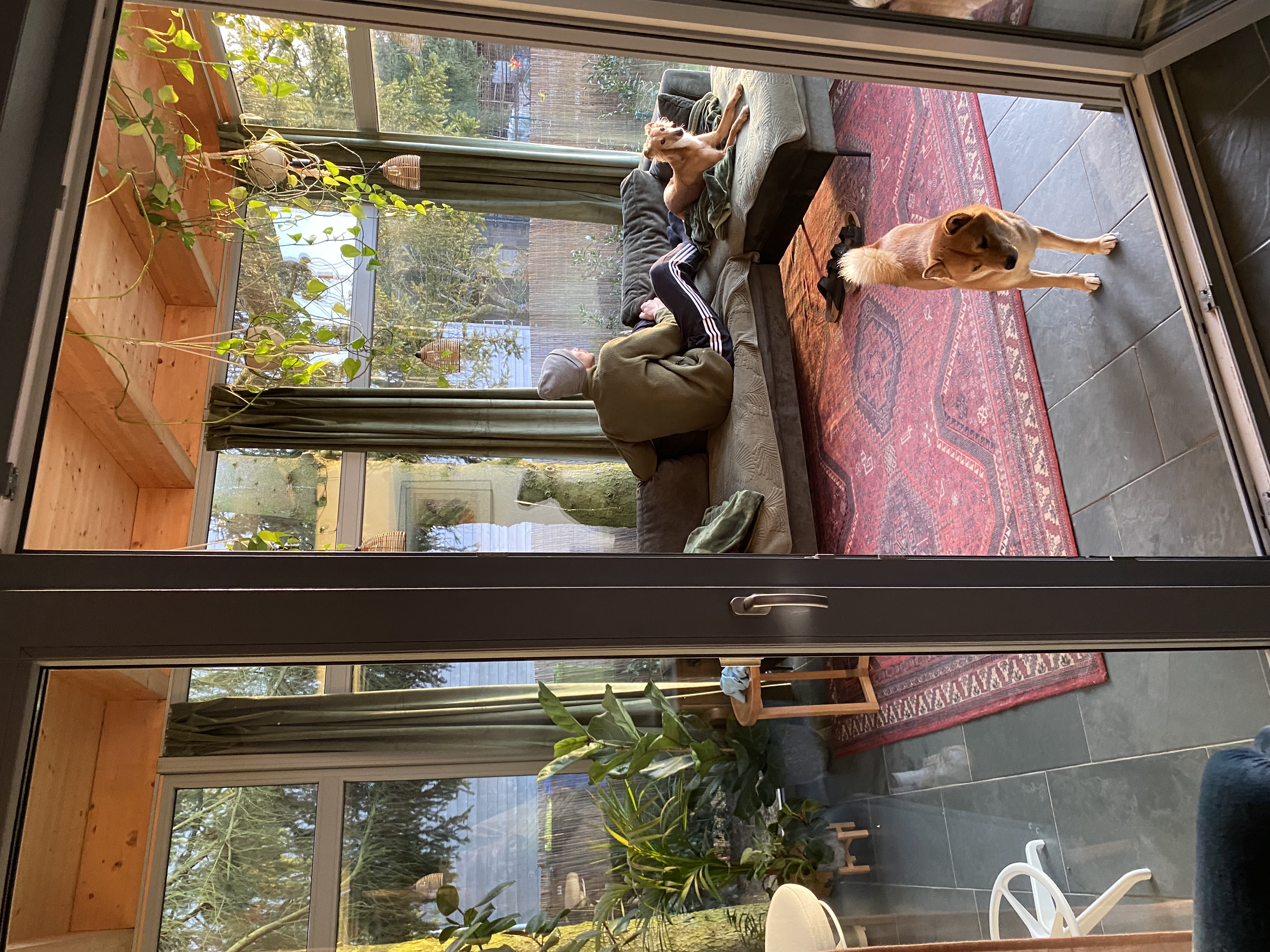 image-14