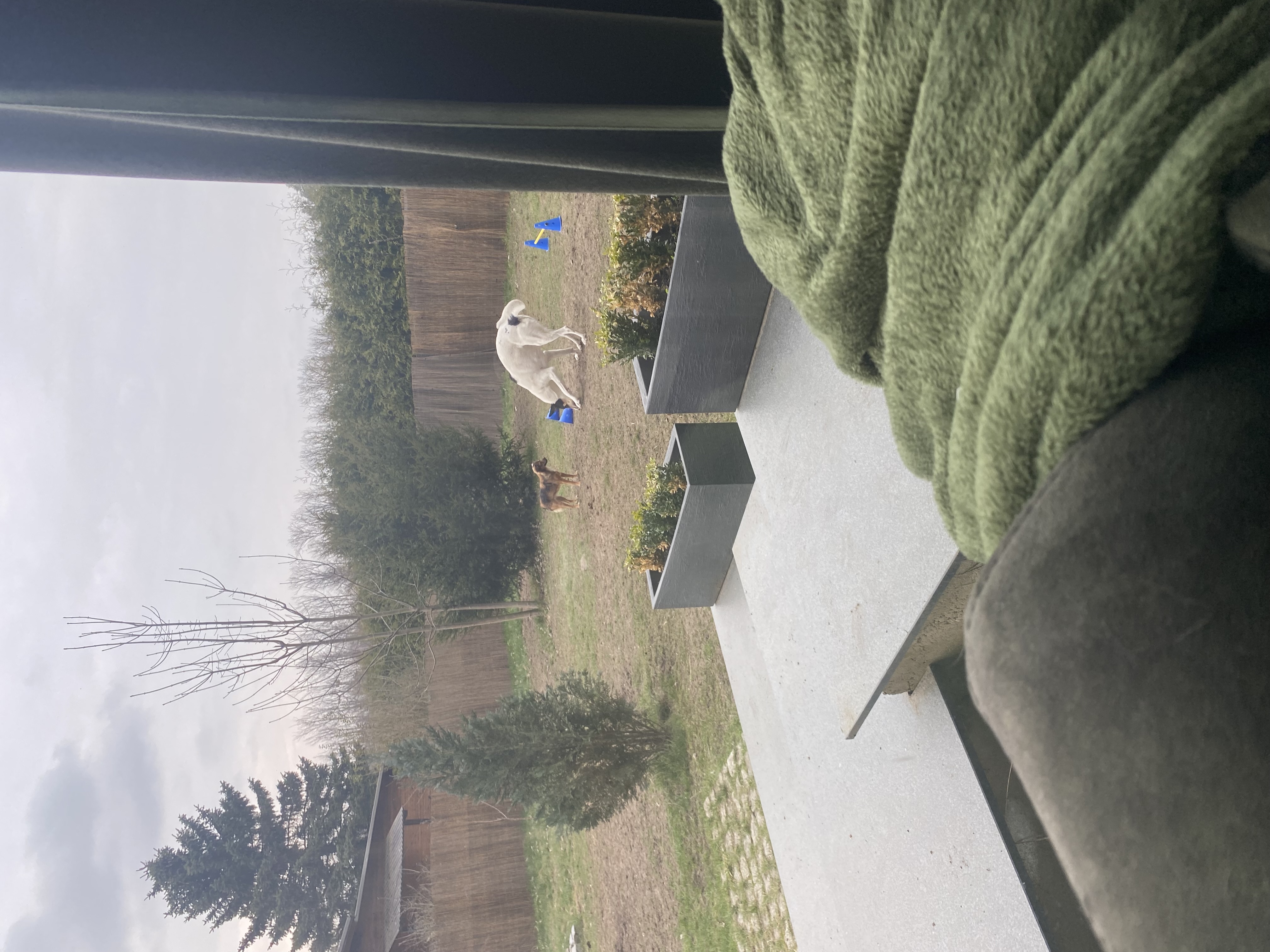 image-6