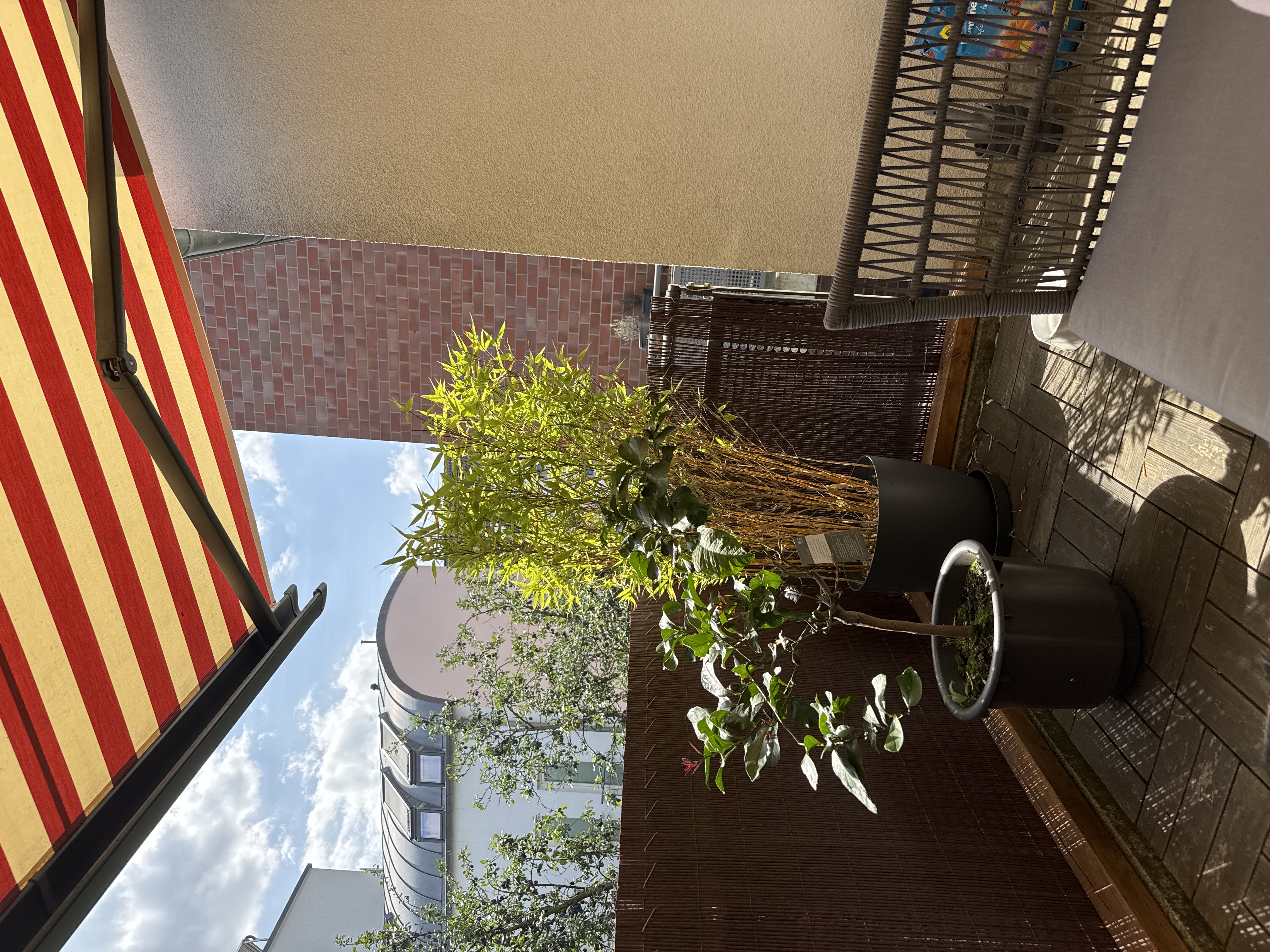 image-15
