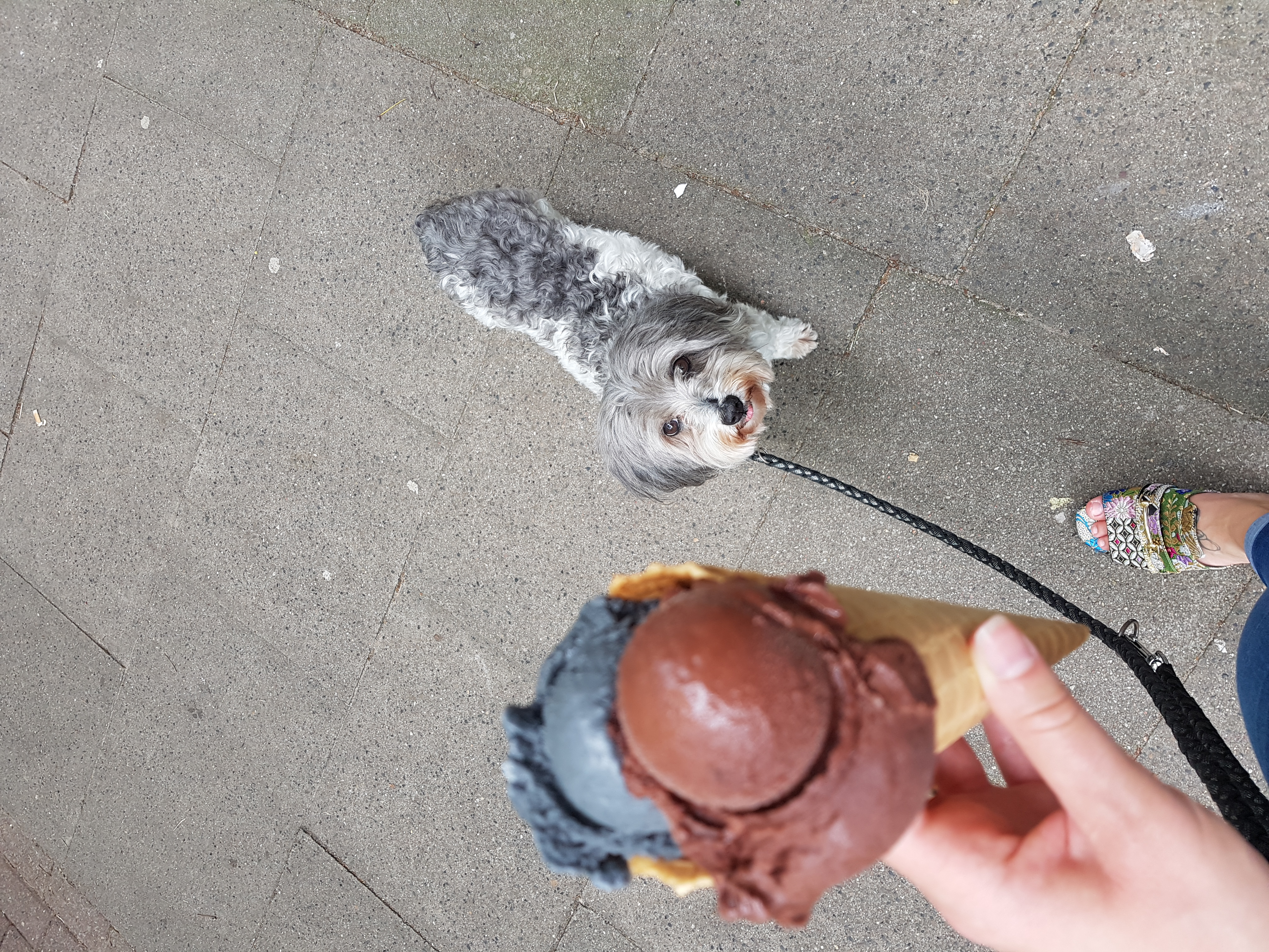 image-8
