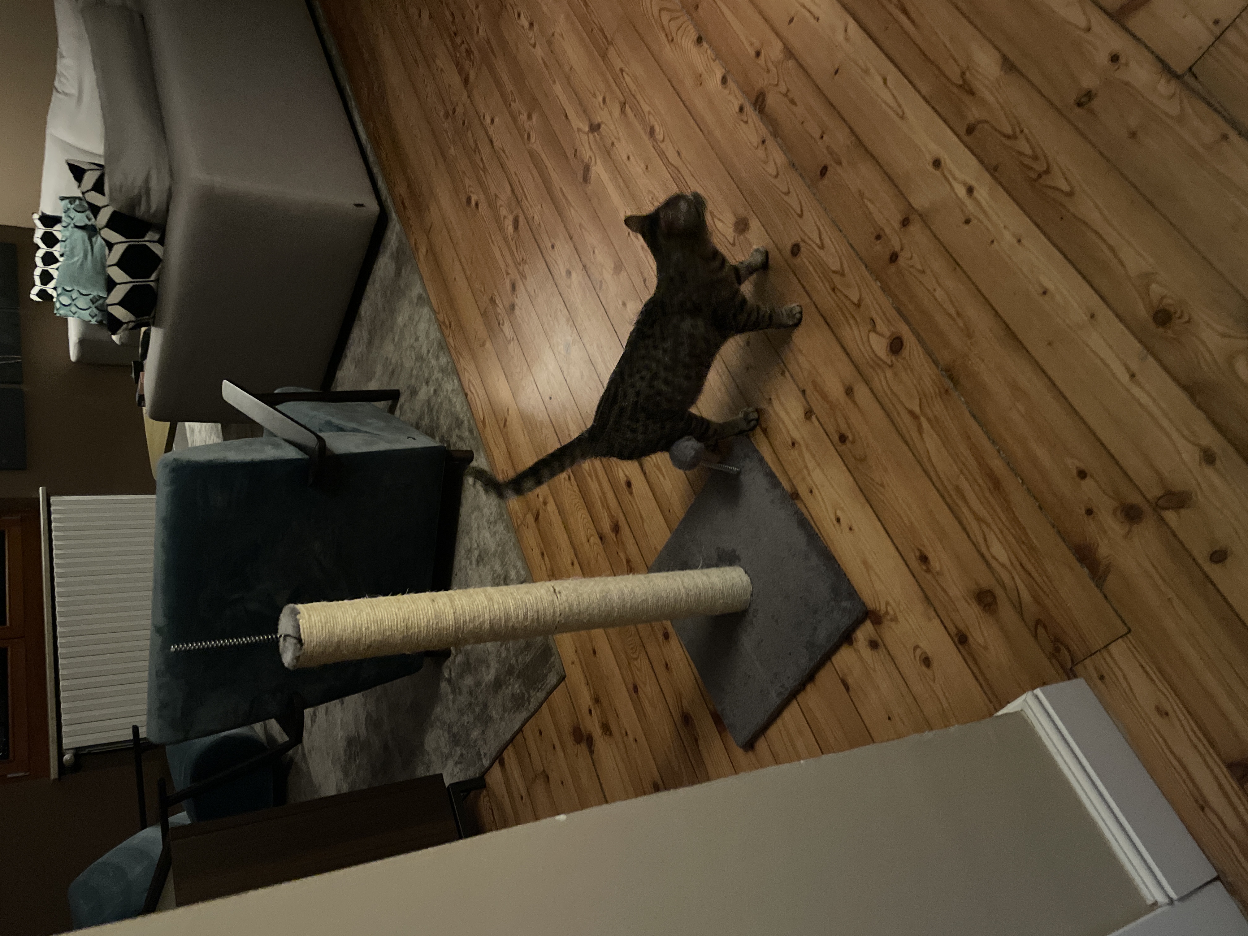 image-8