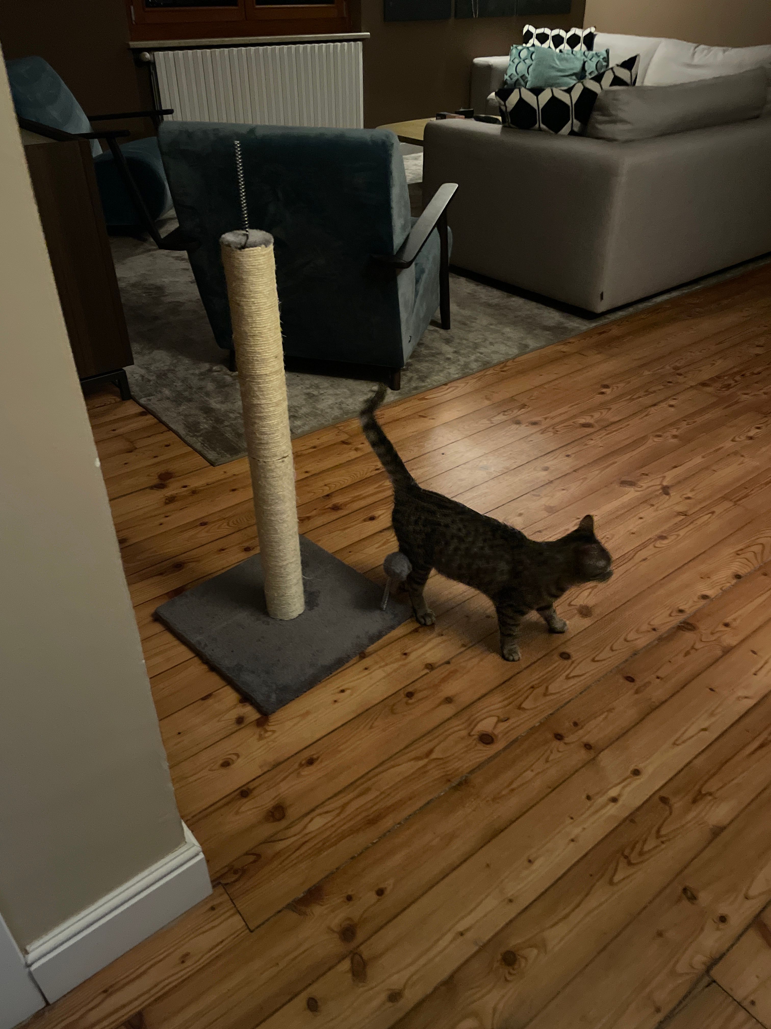 image-8