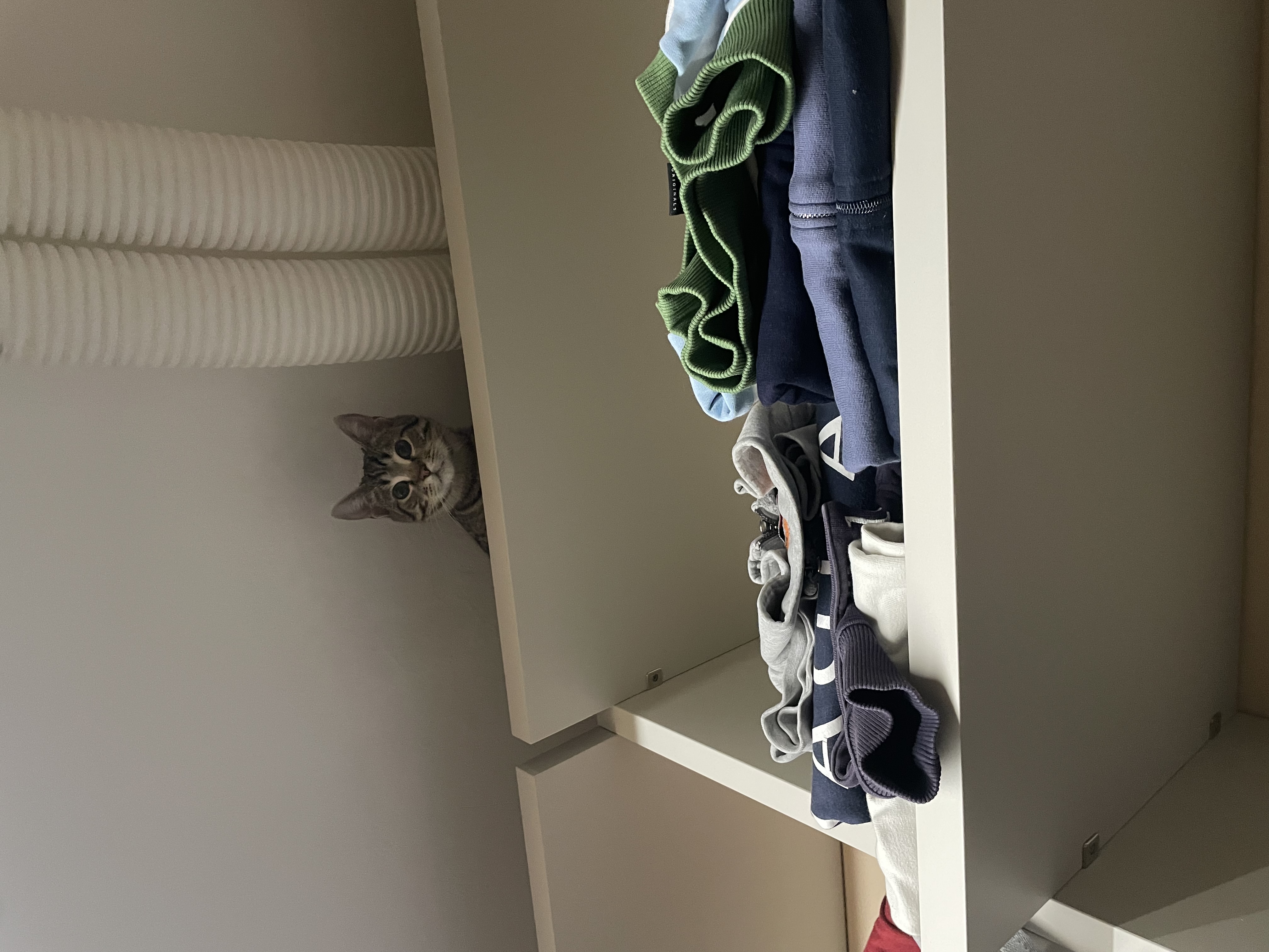 image-19