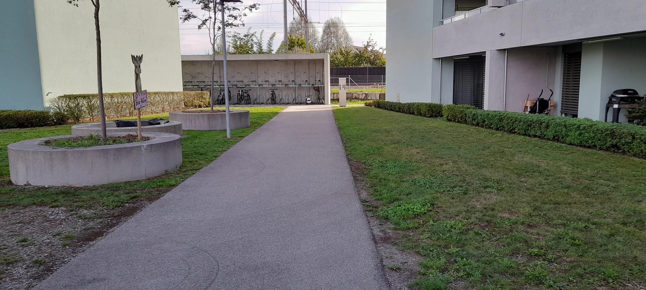 image-25