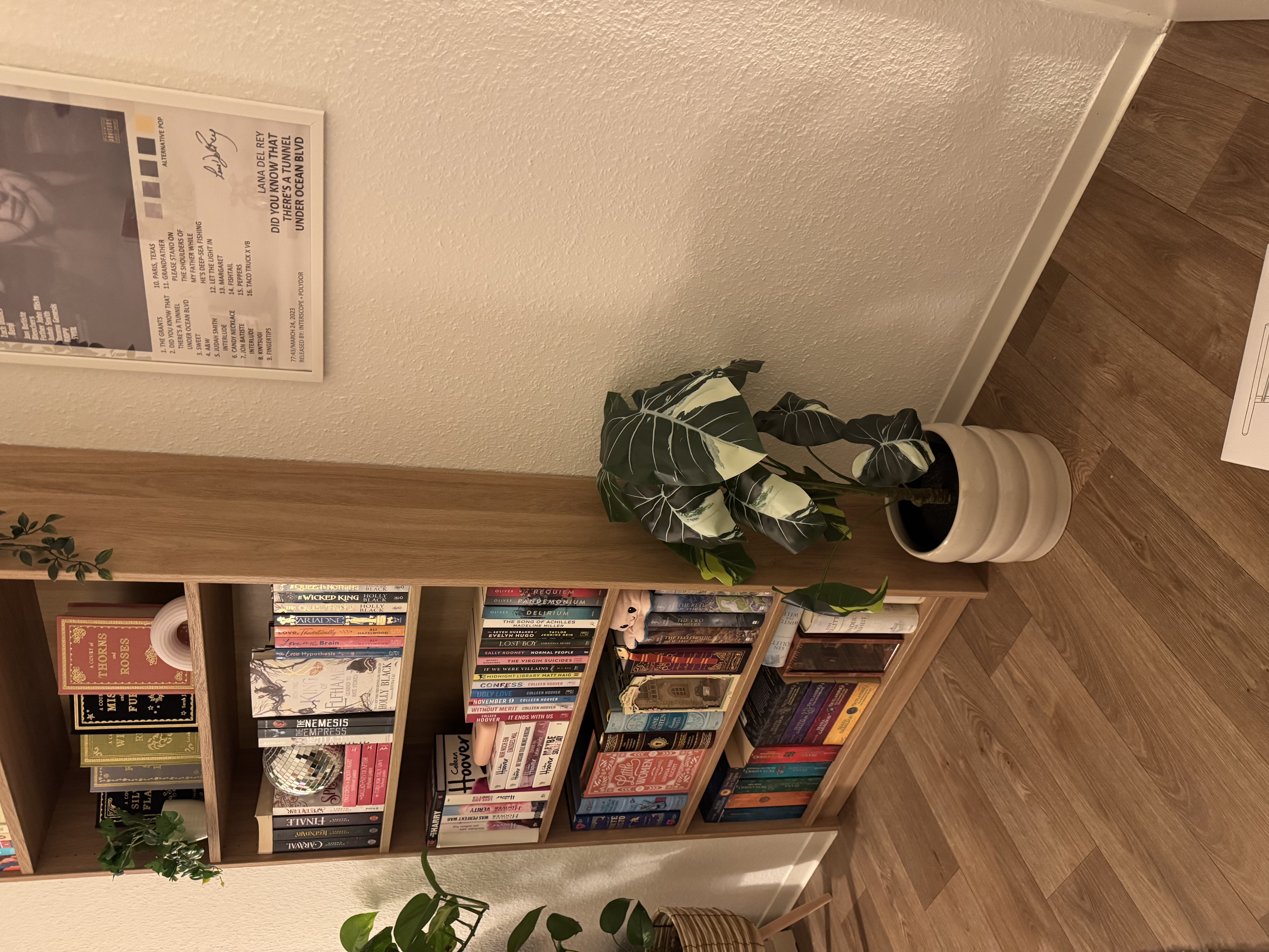 image-17