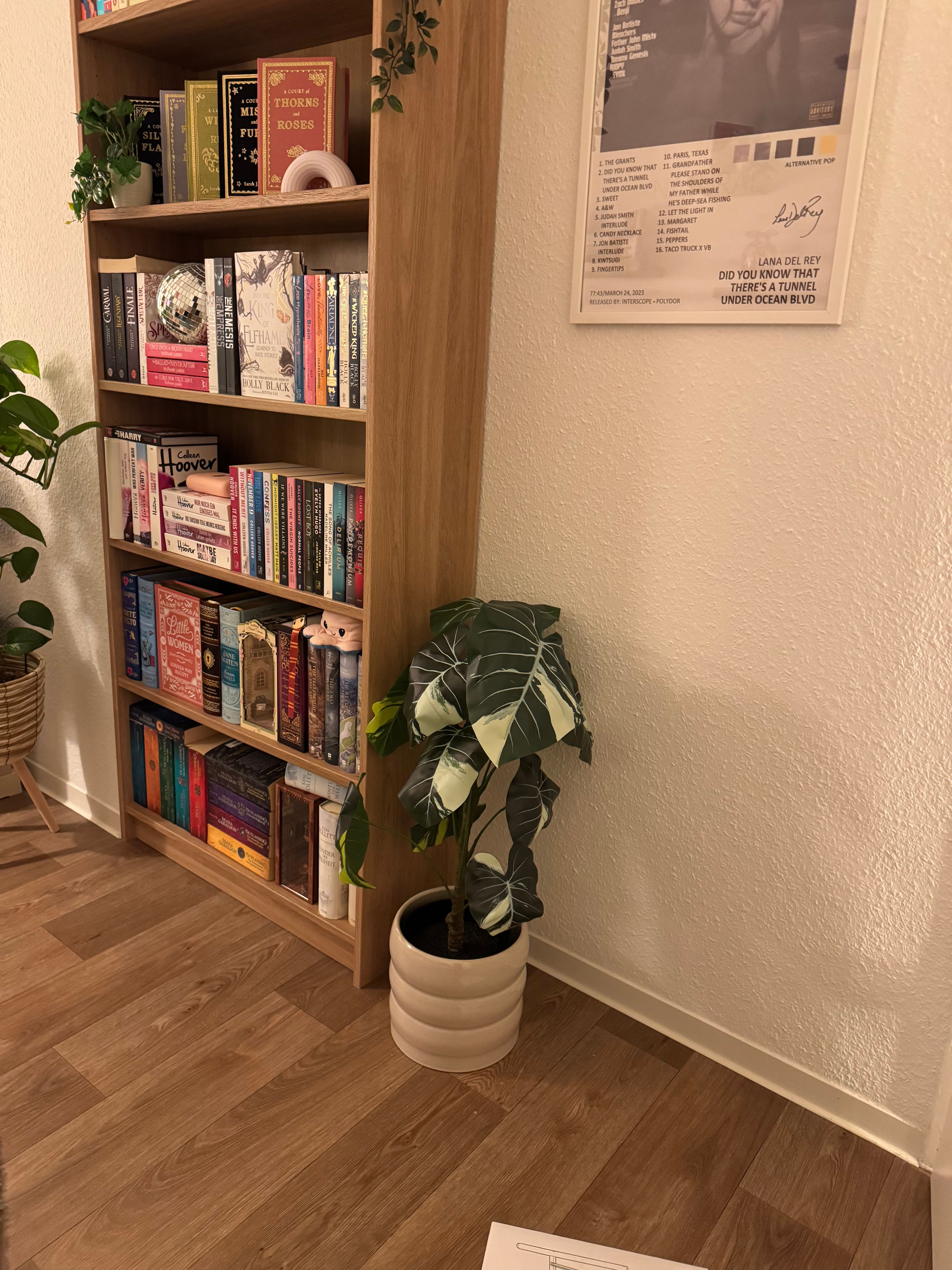 image-17