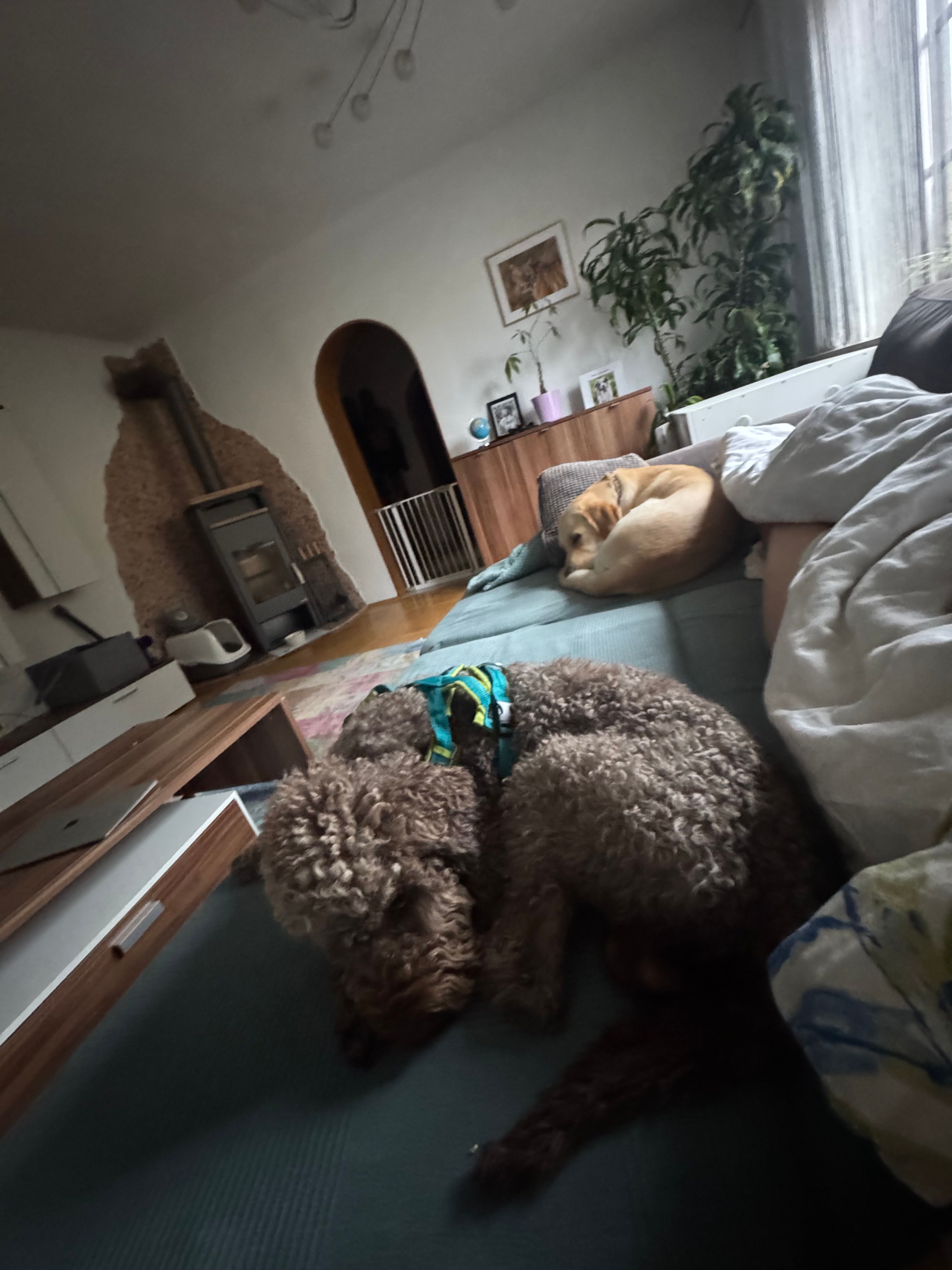 image-10