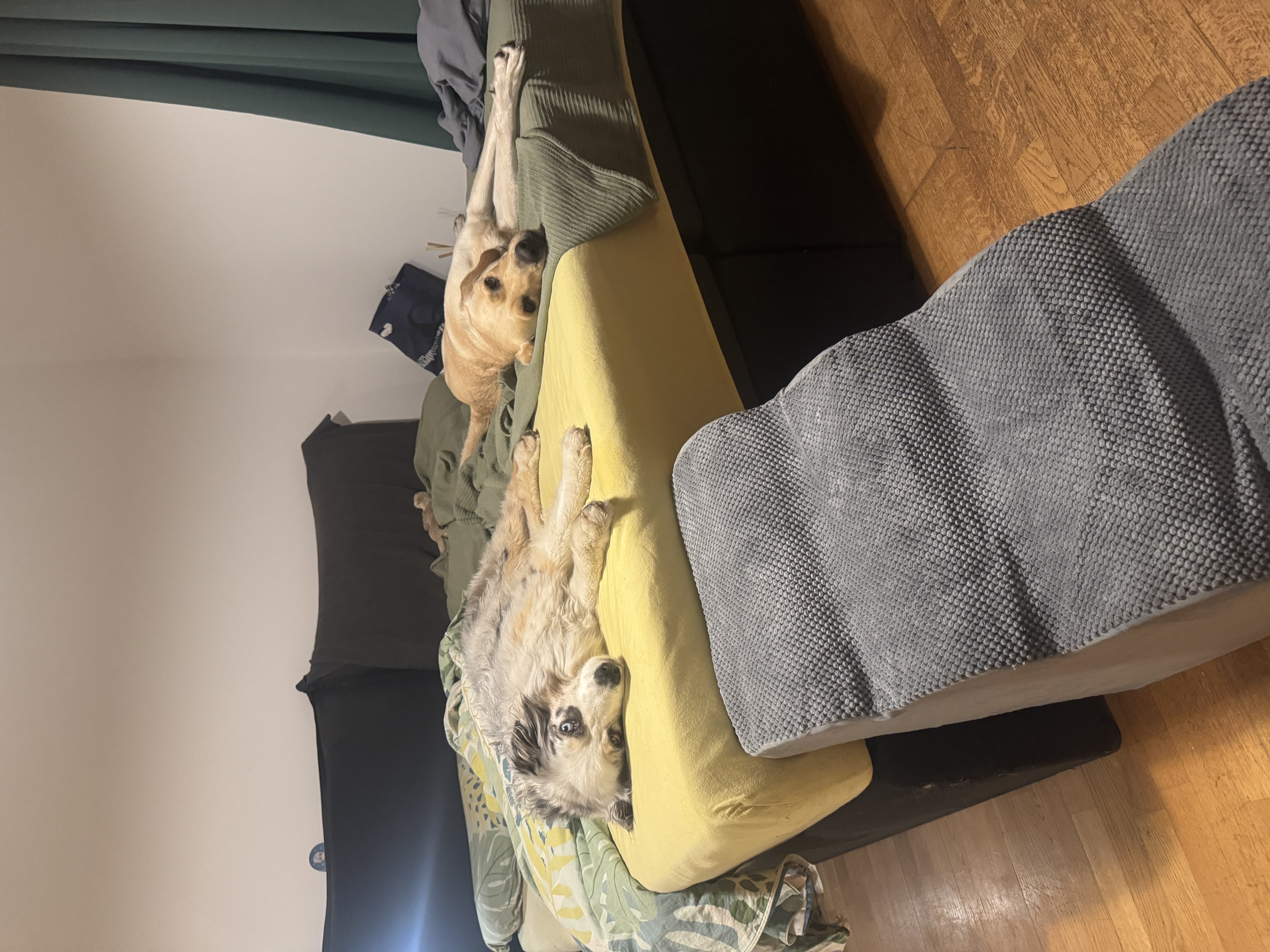 image-8