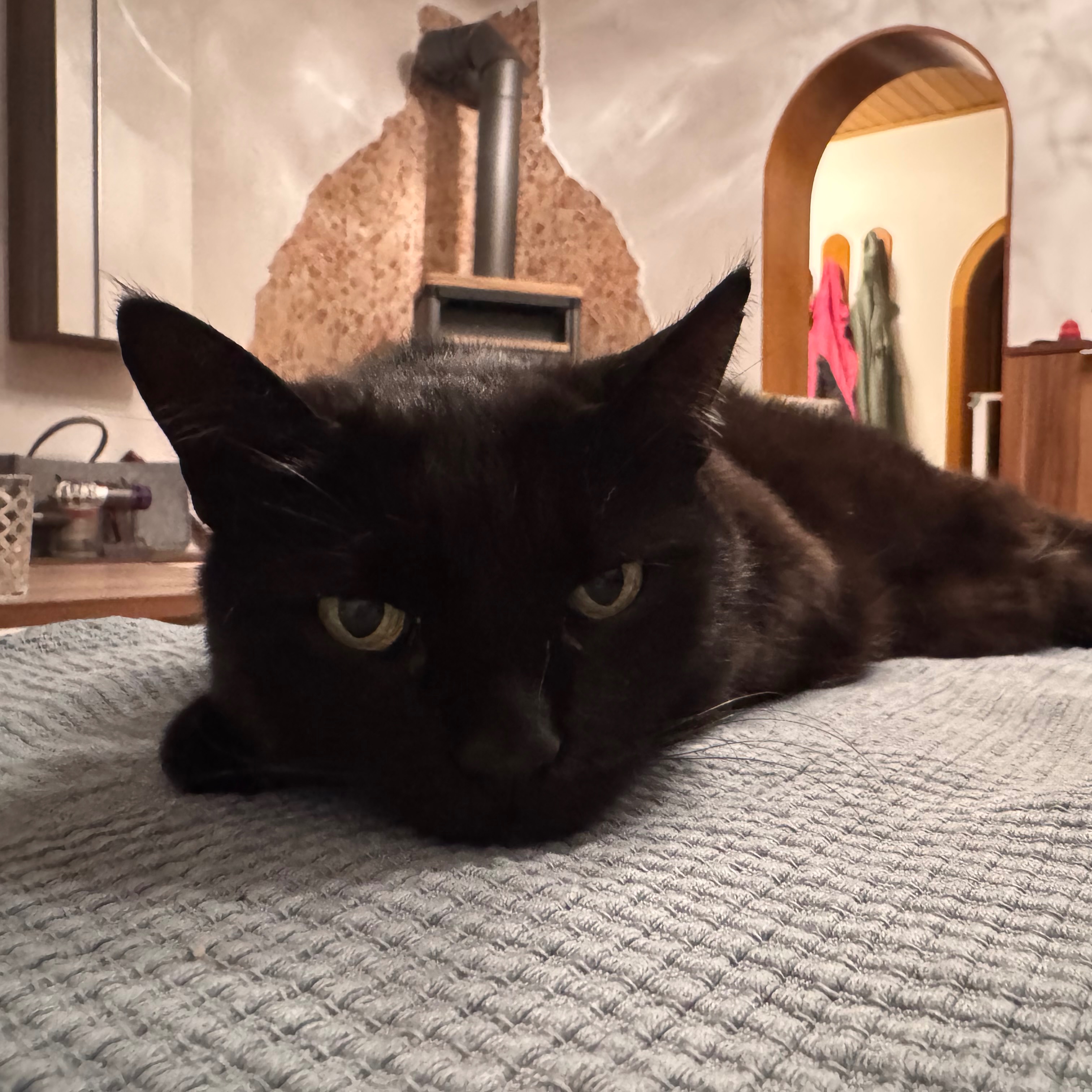 Gina