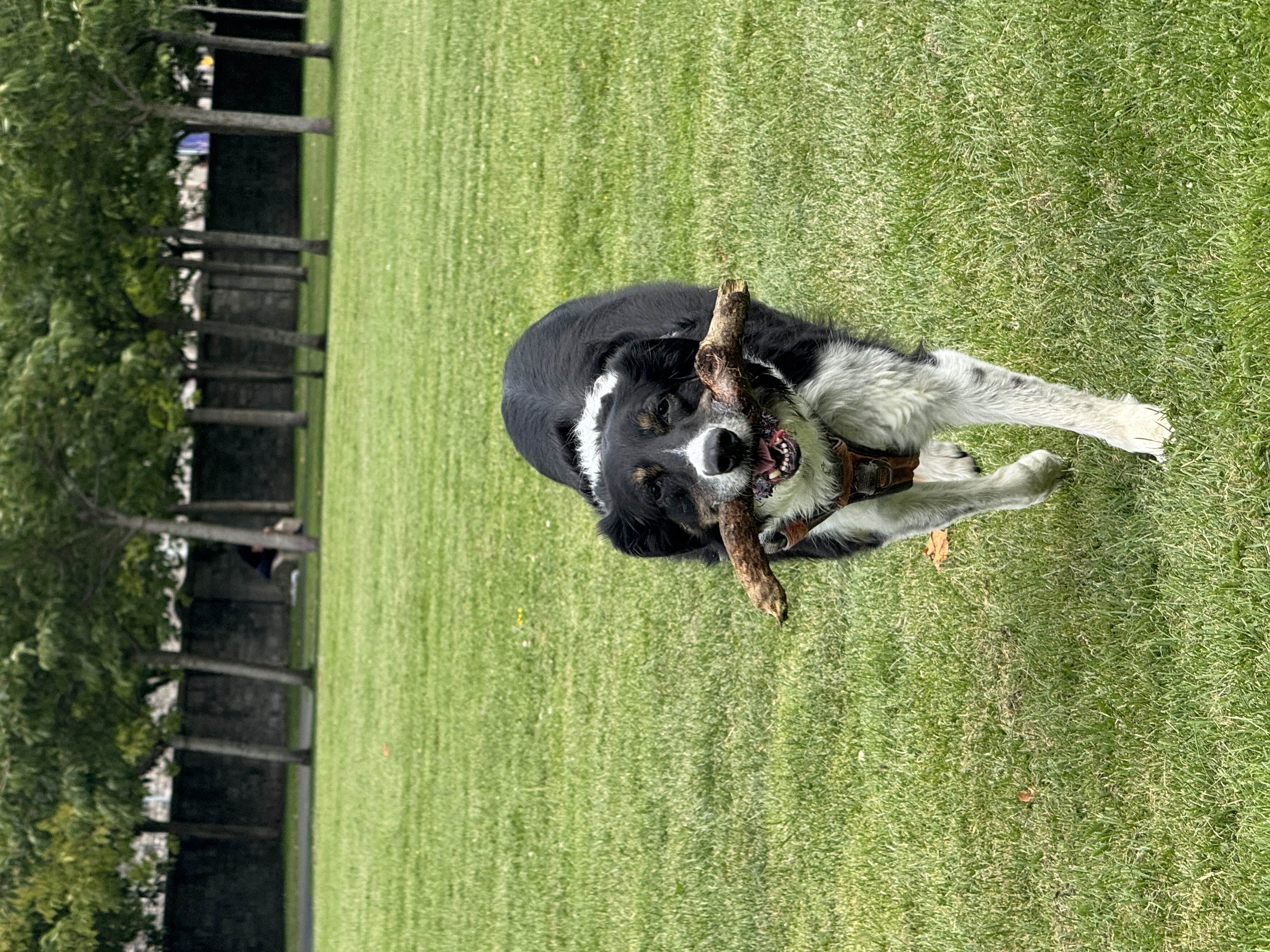 image-8