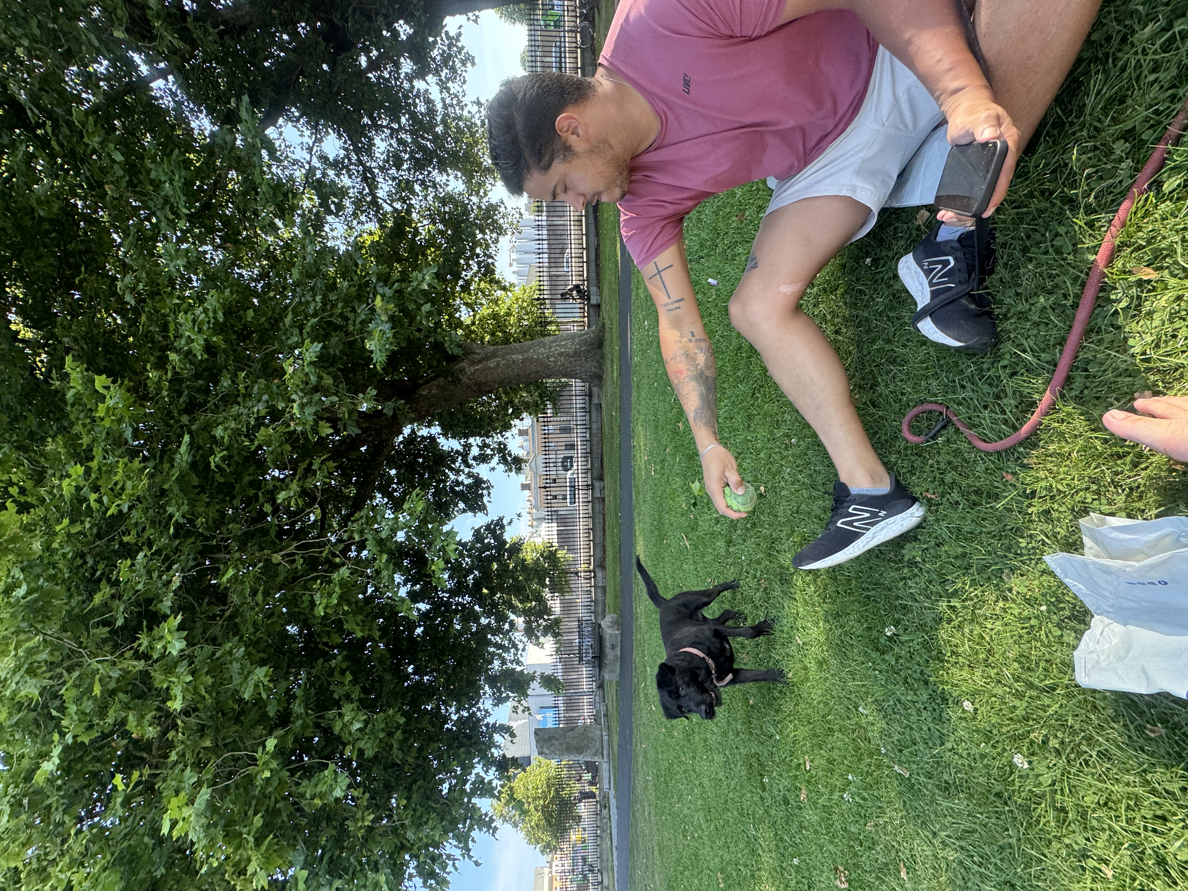image-13