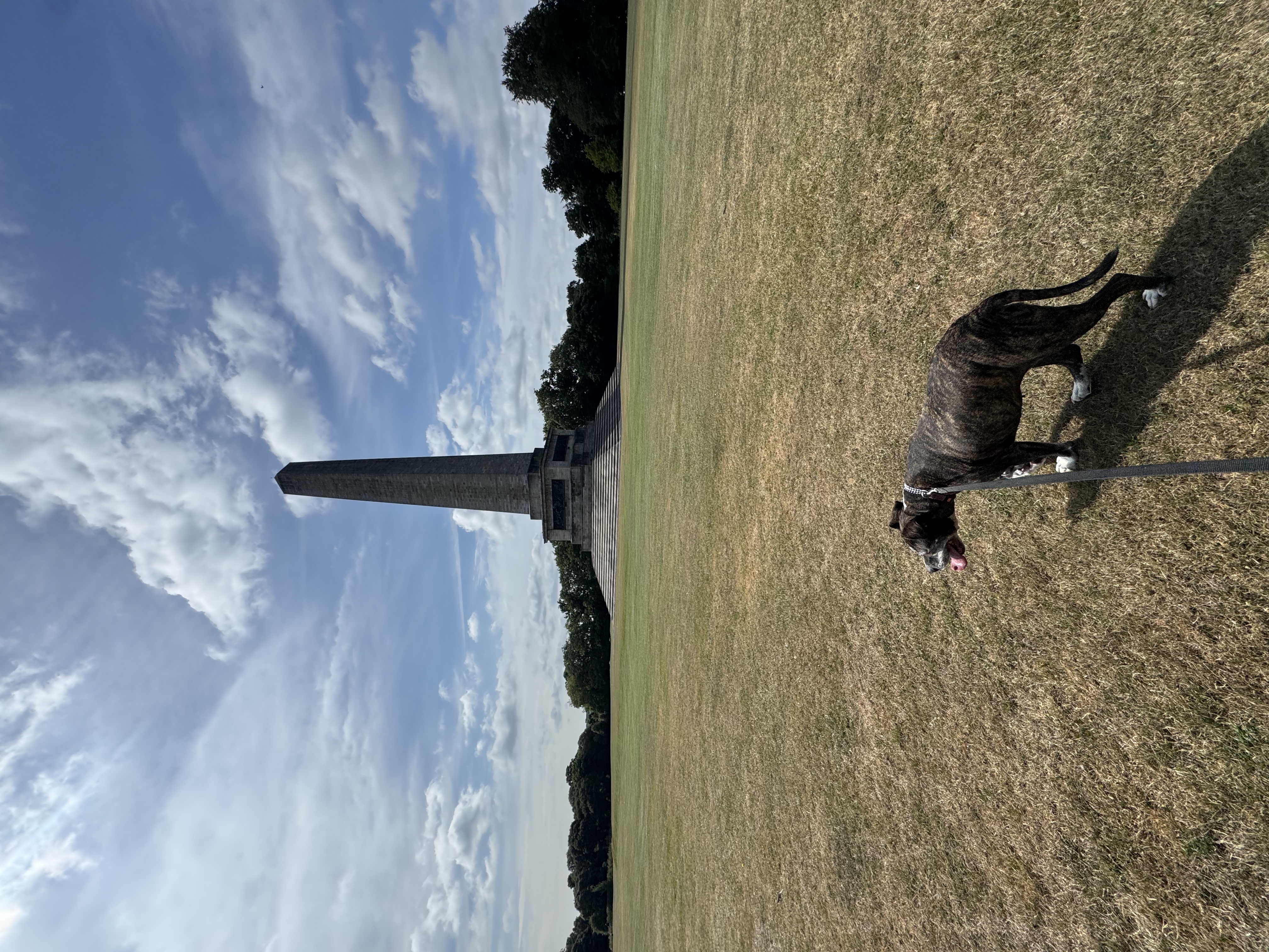 image-69