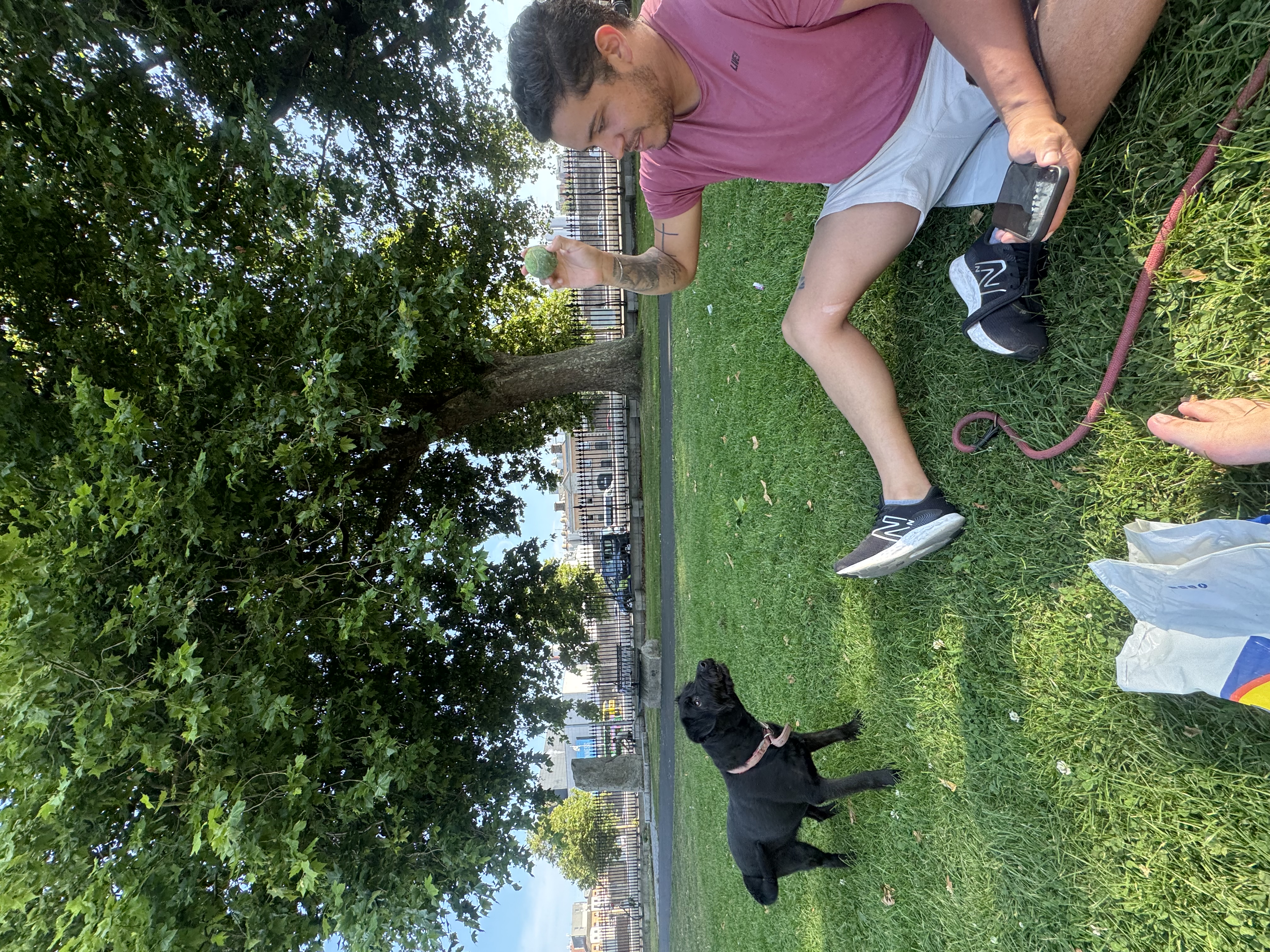 image-28