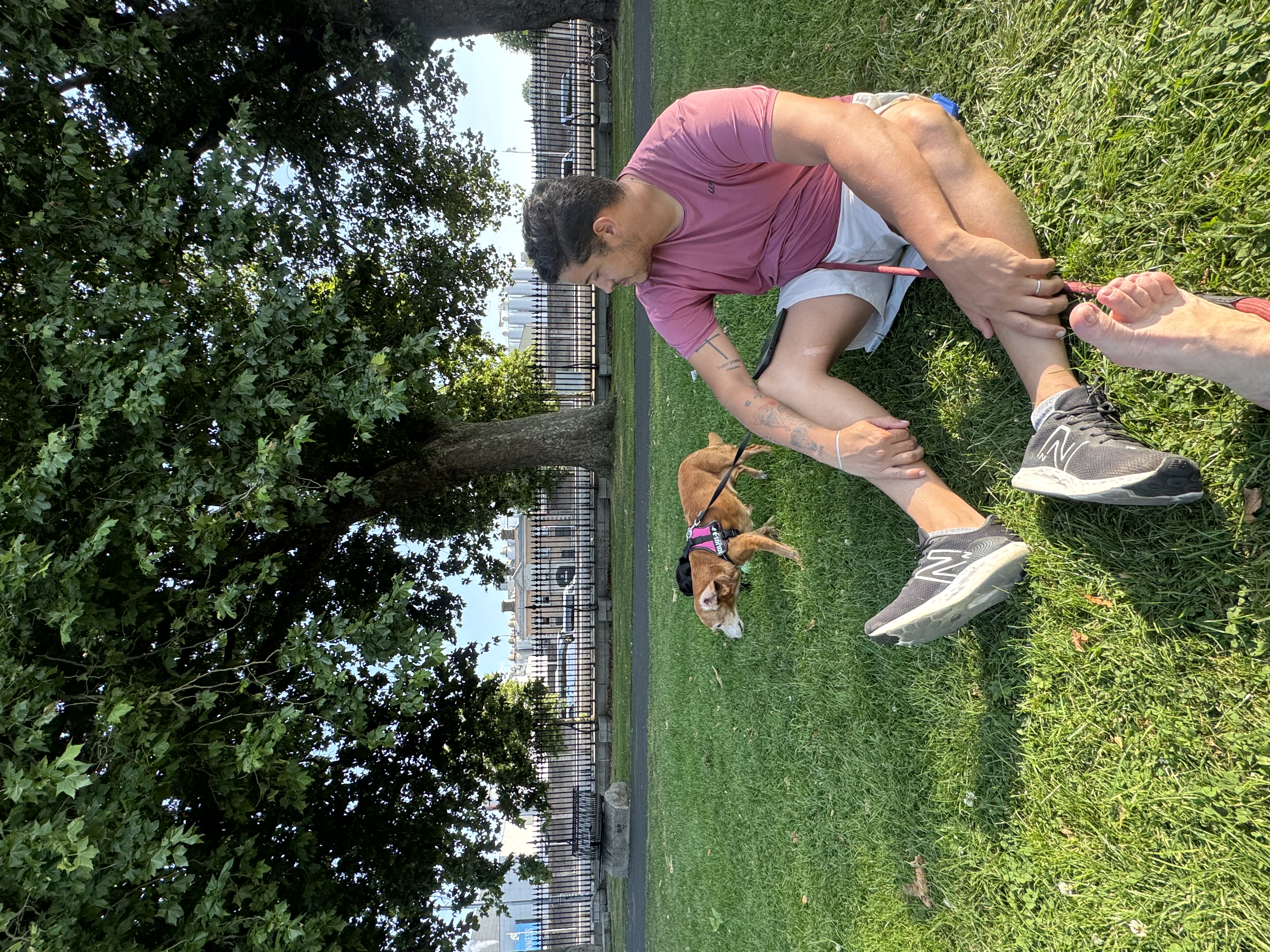 image-15