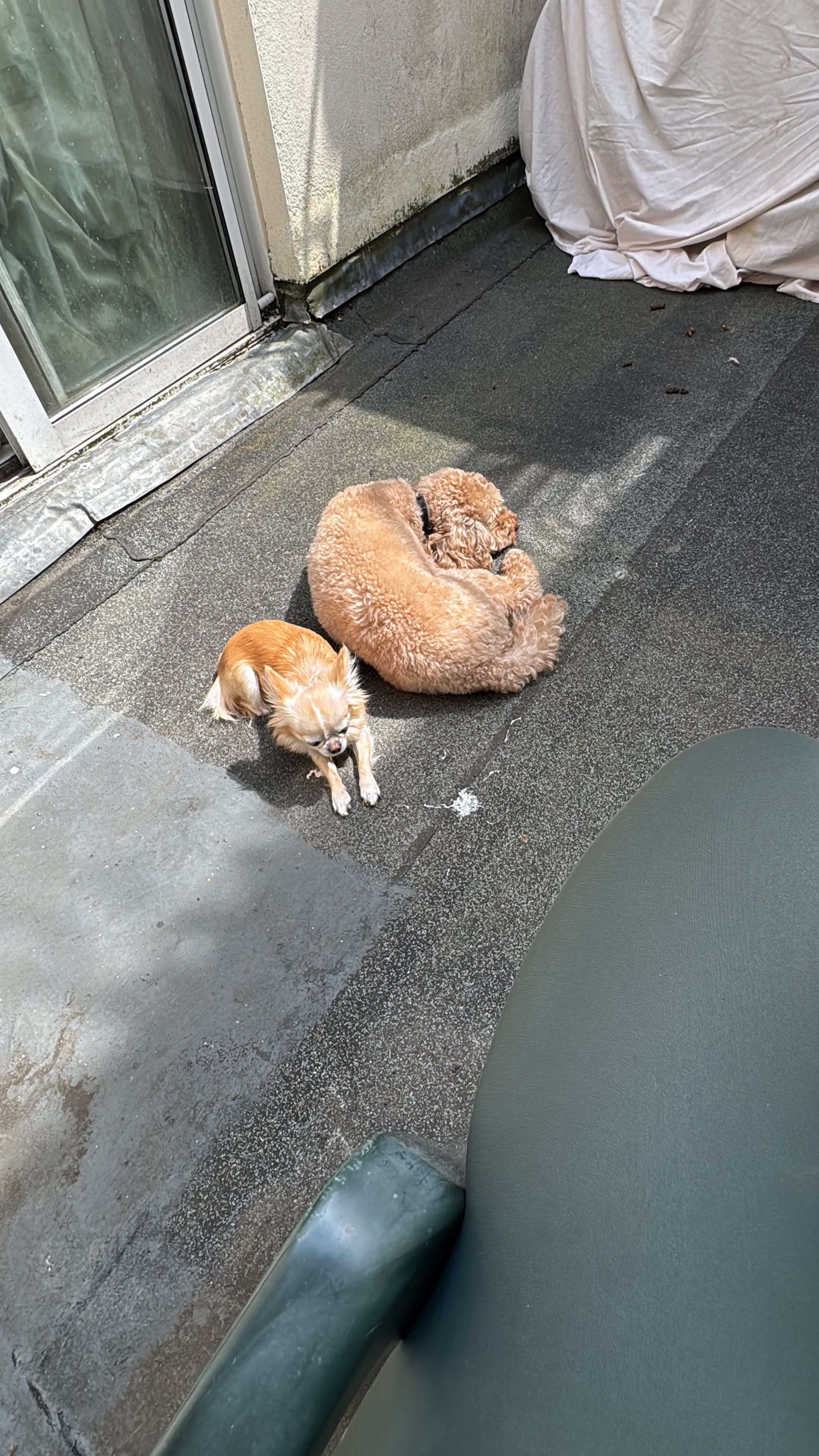 image-42