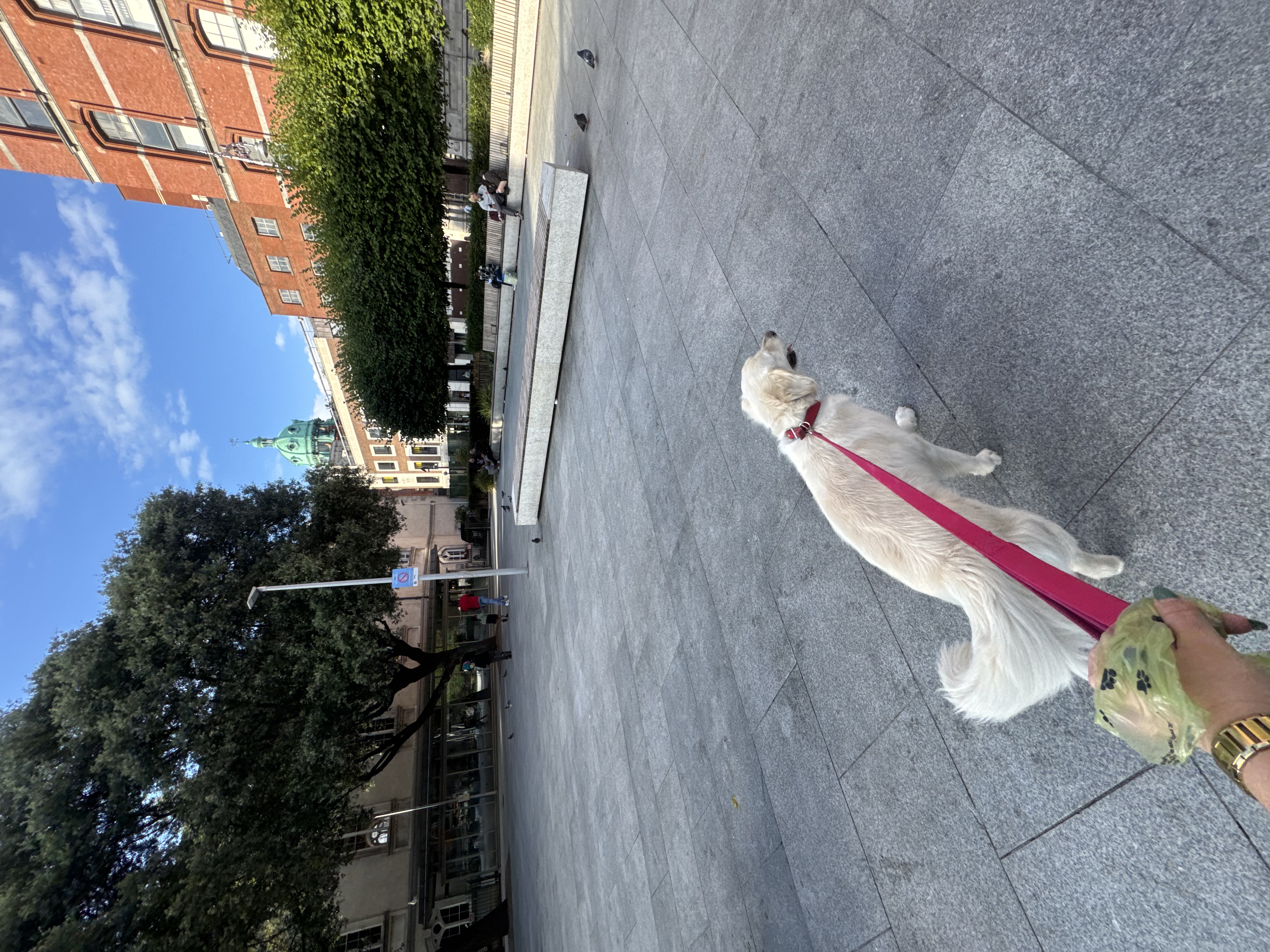 image-46