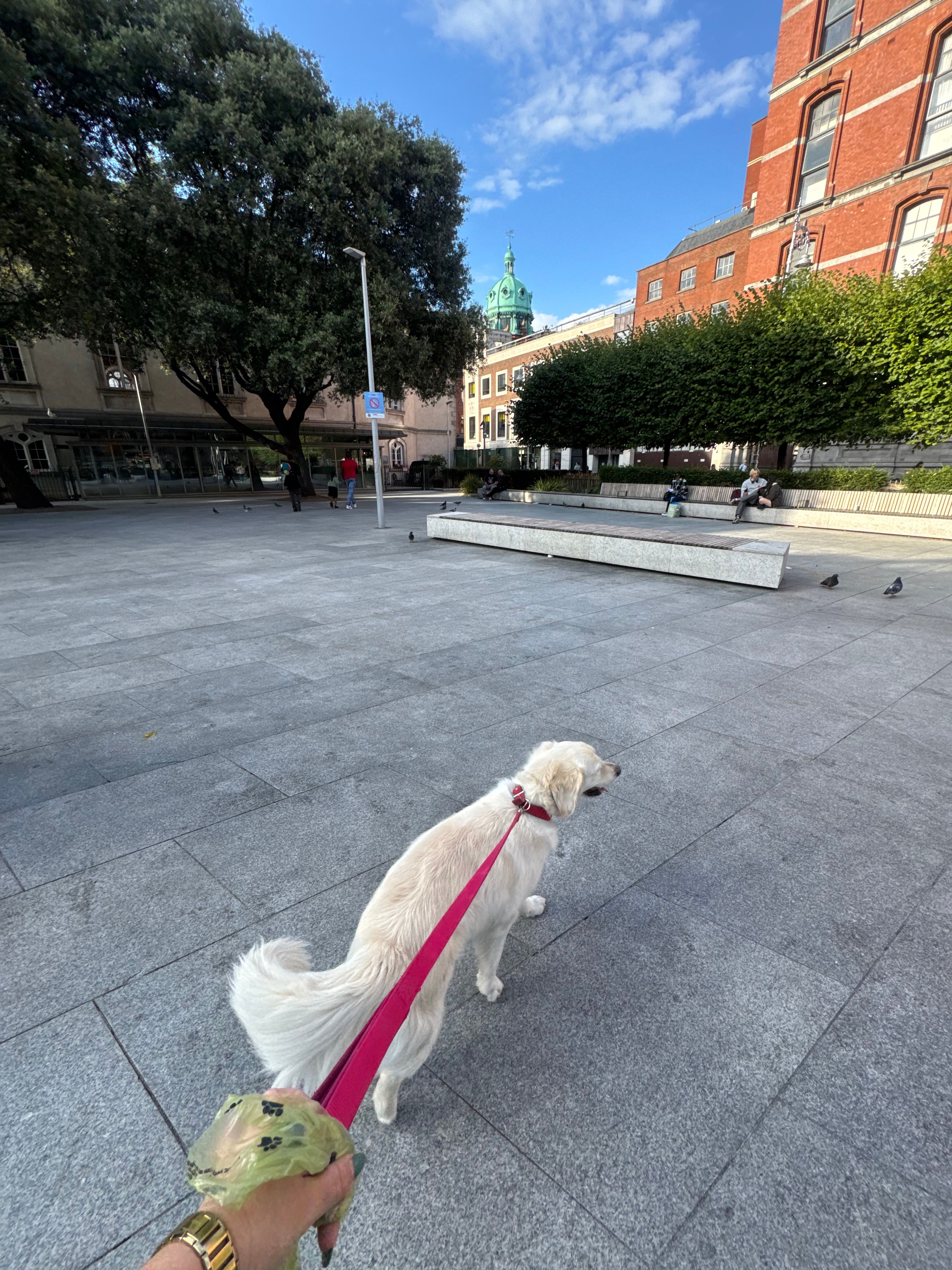 image-46