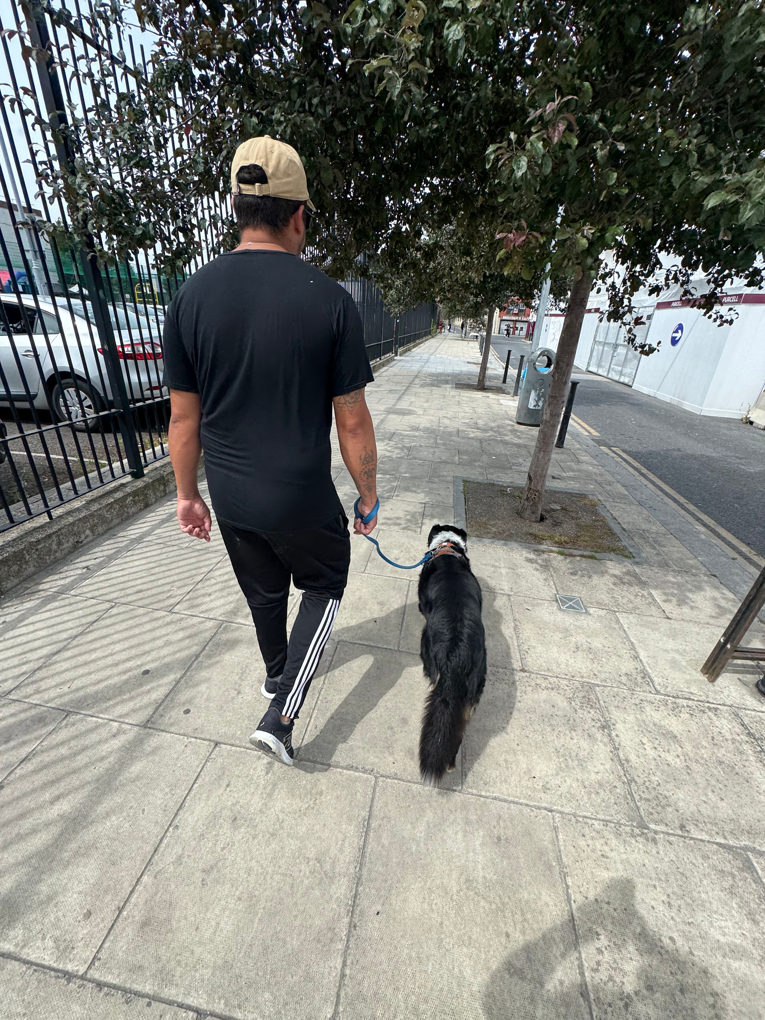 image-12