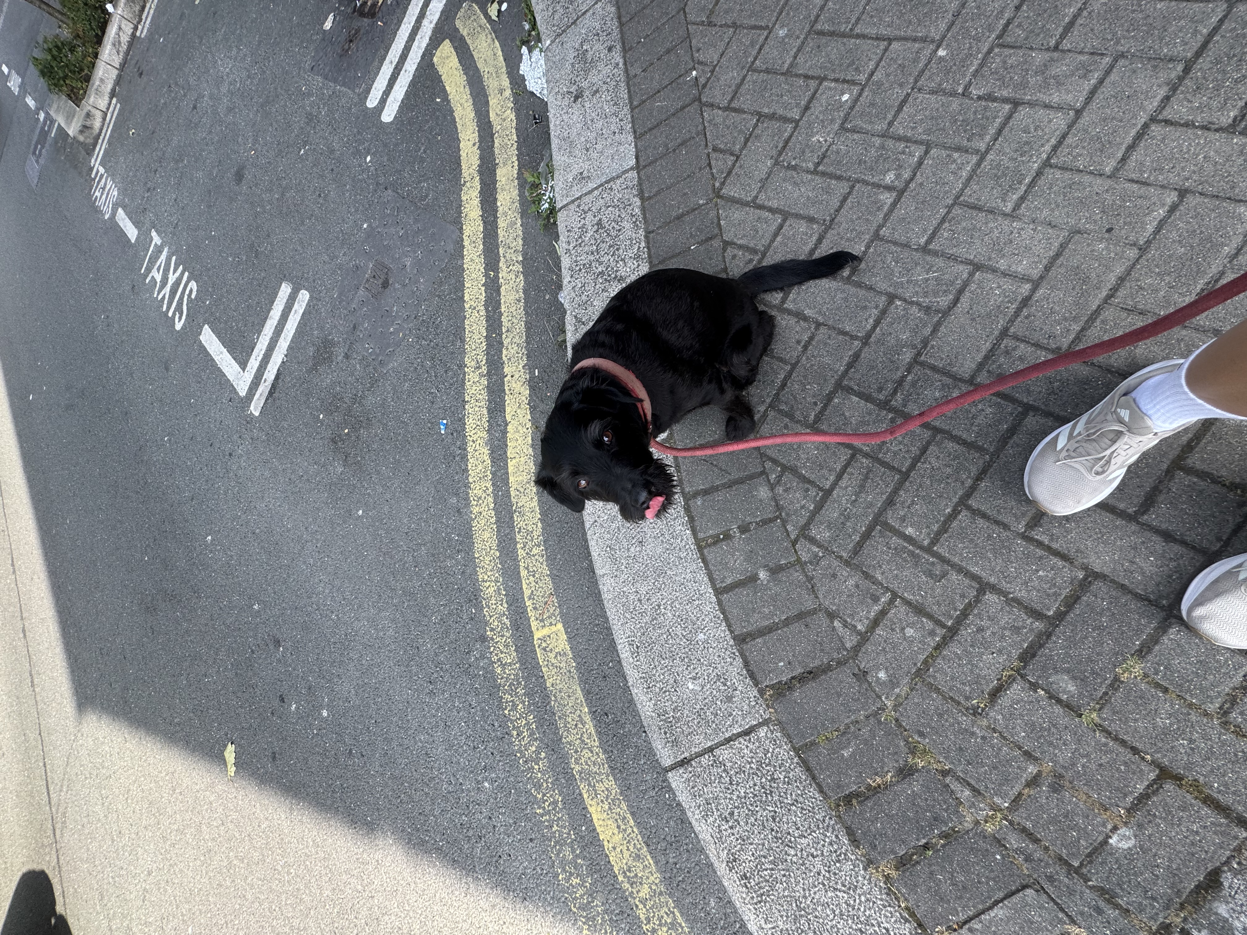 image-18