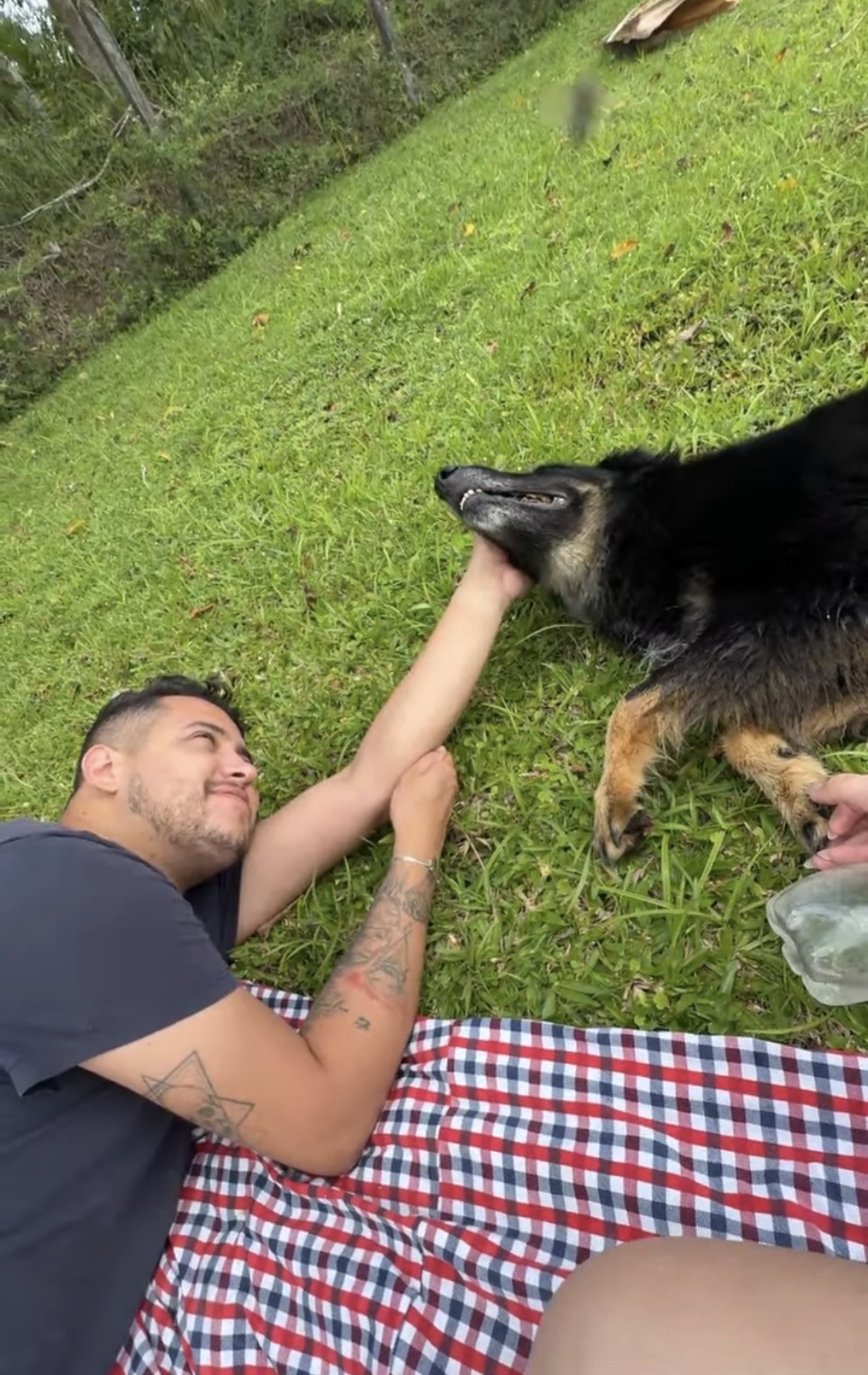 image-0