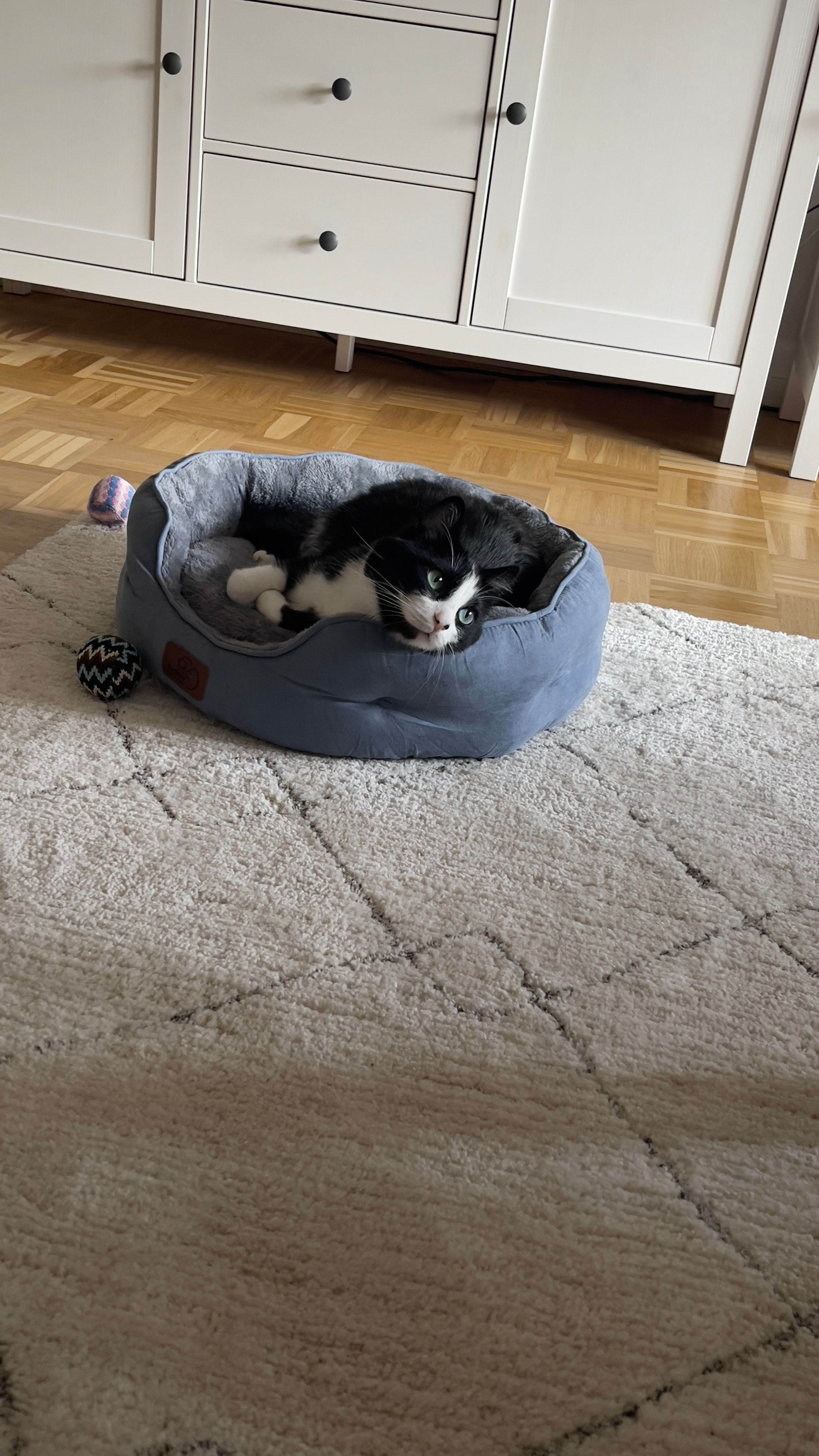 image-23