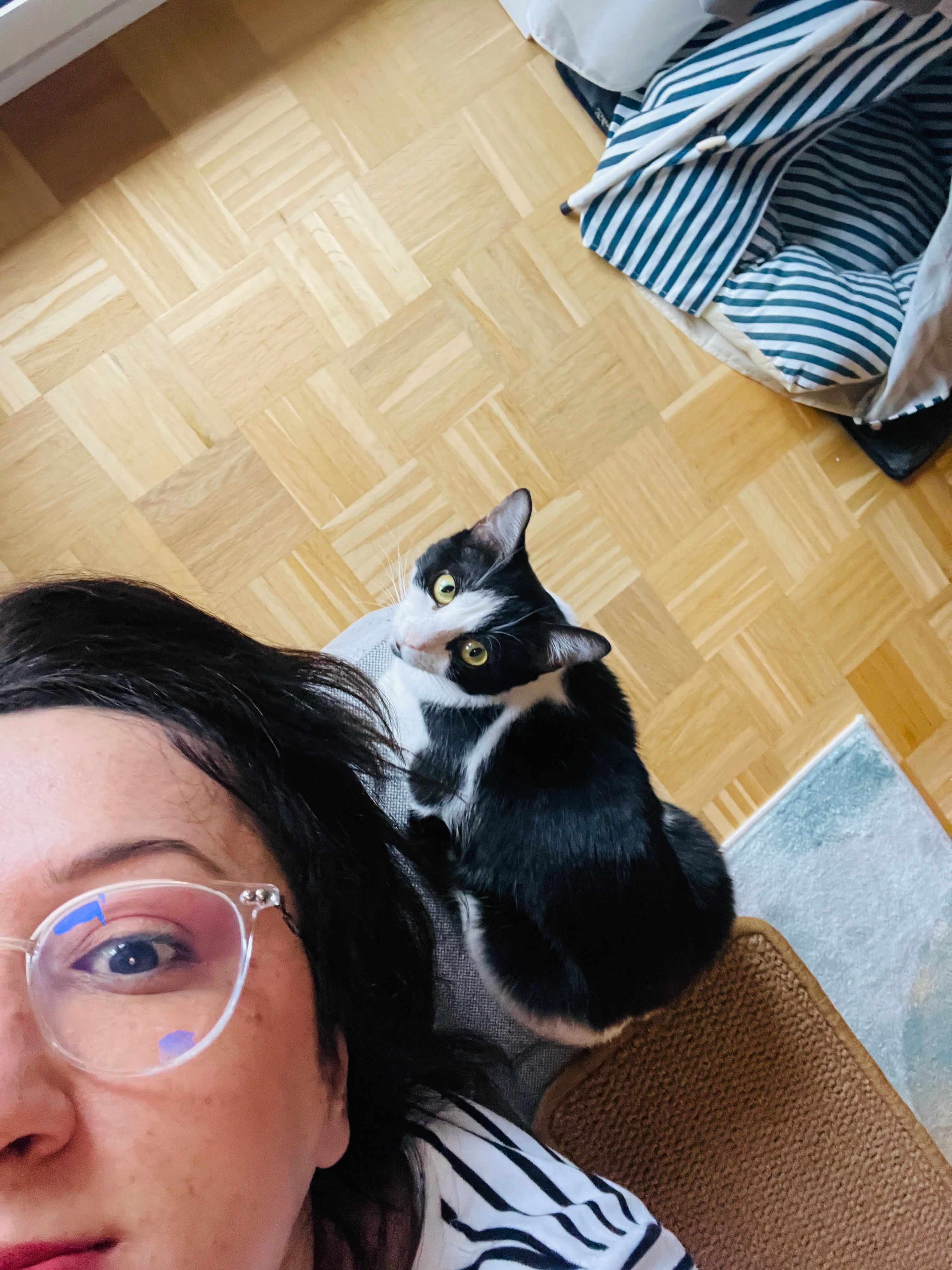 image-6