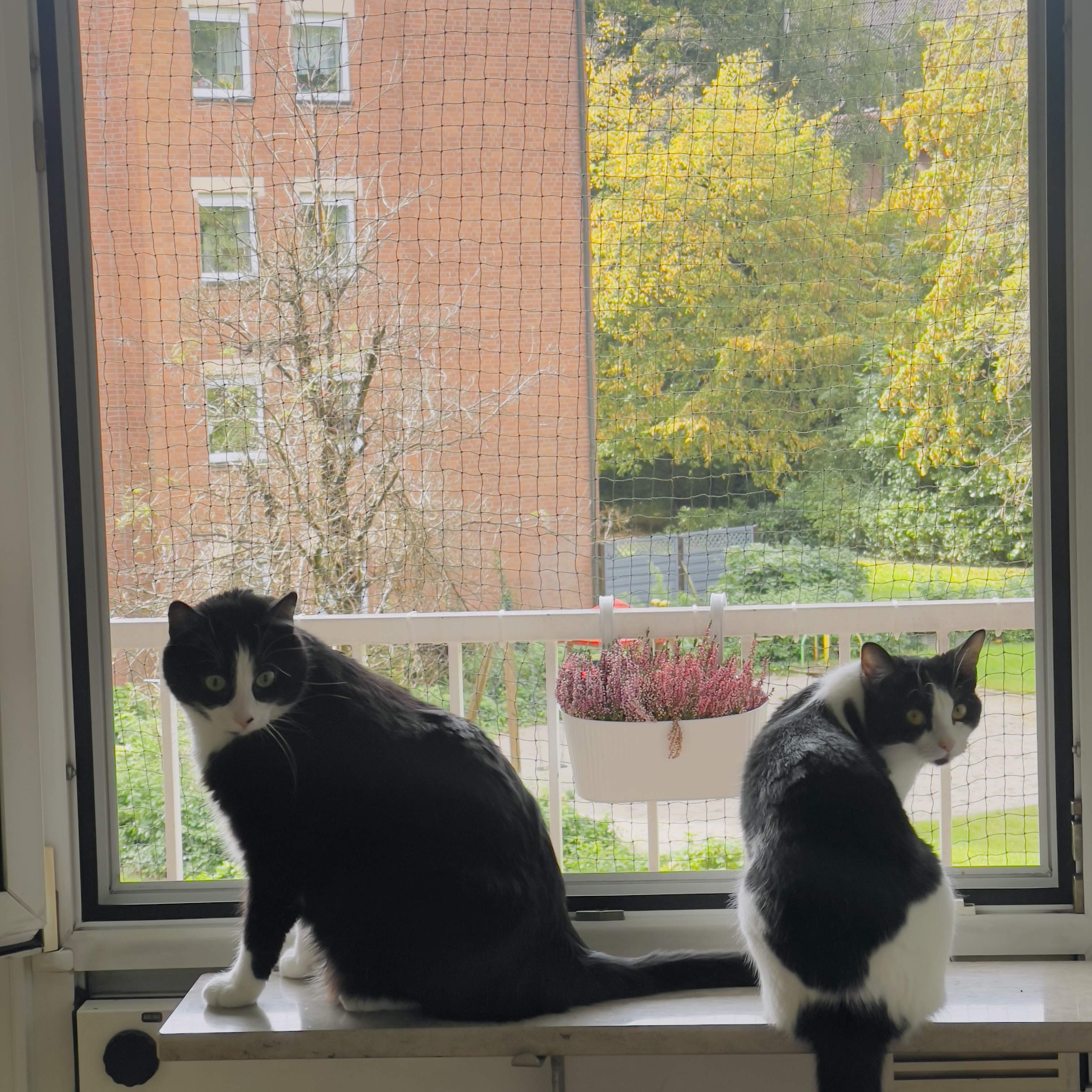 Sammy&Dany