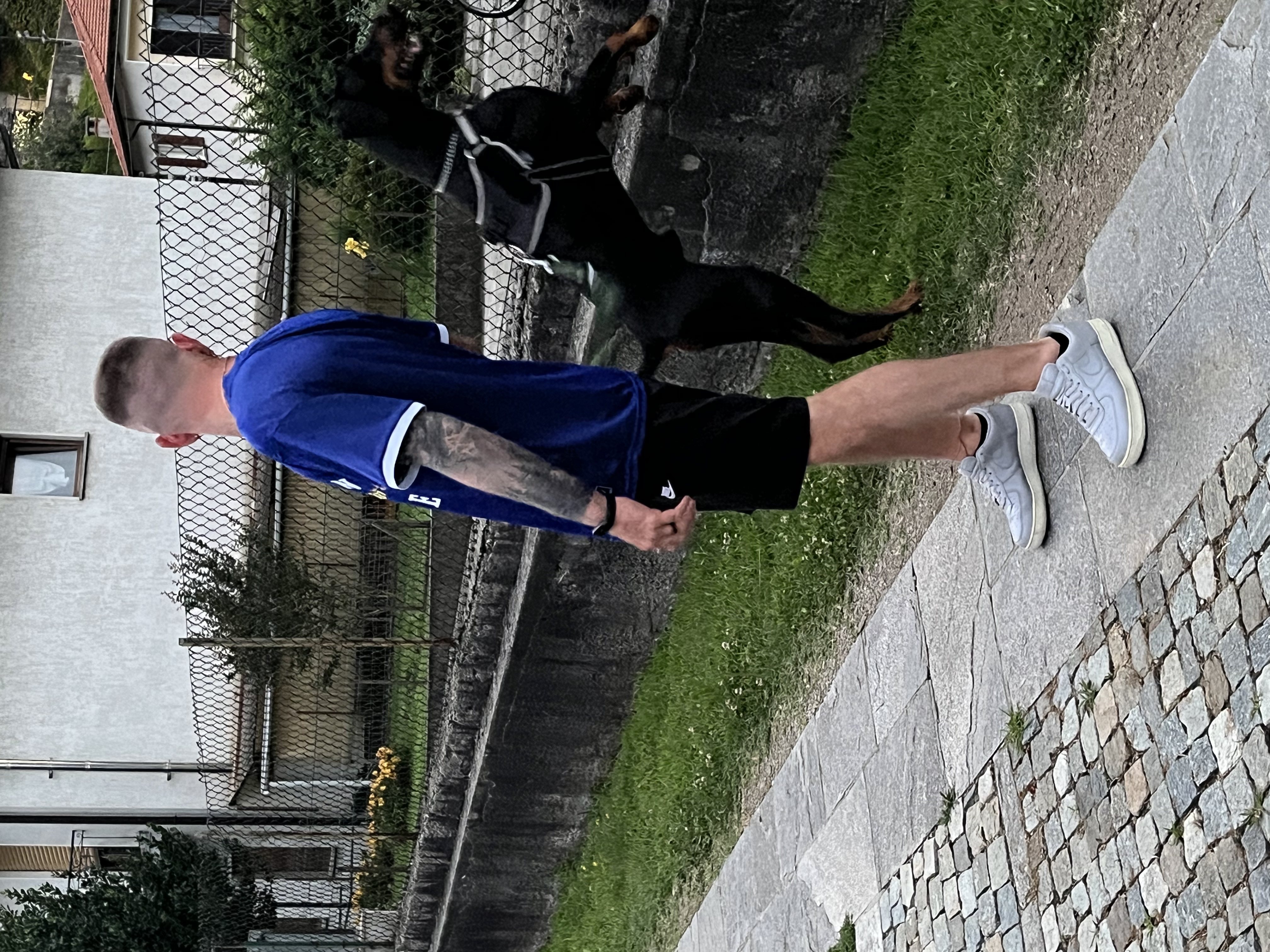 image-7