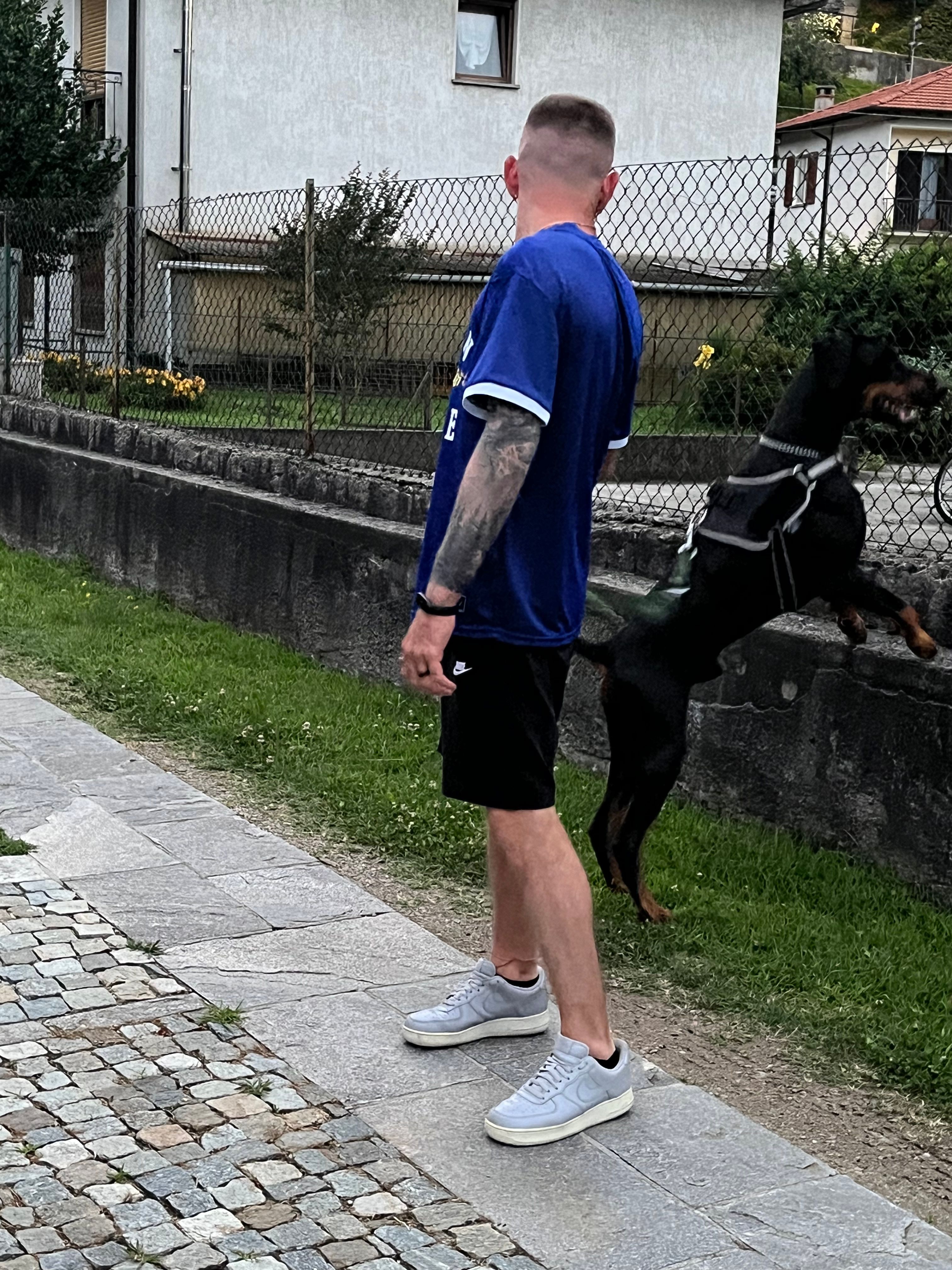 image-7