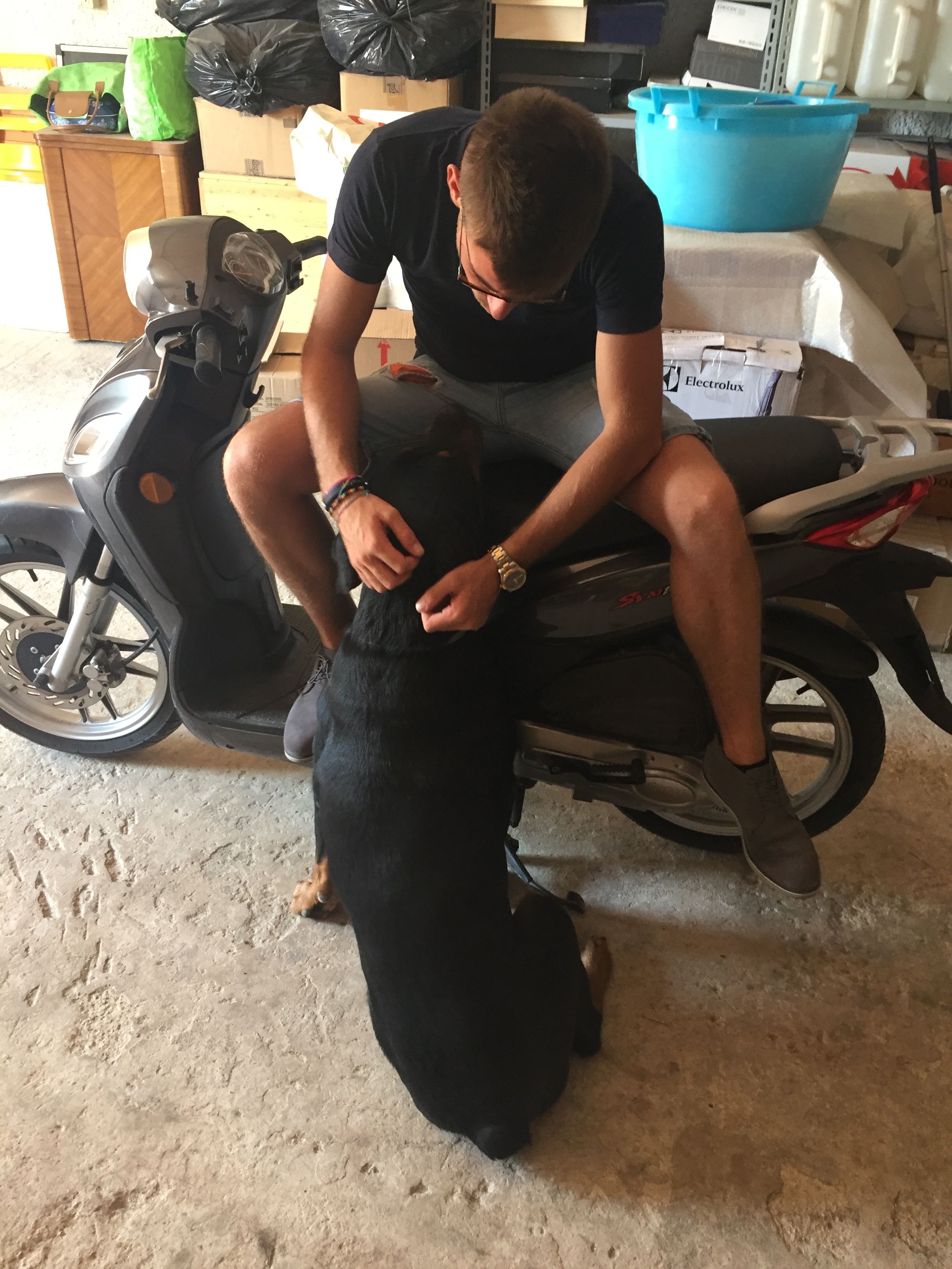 image-8