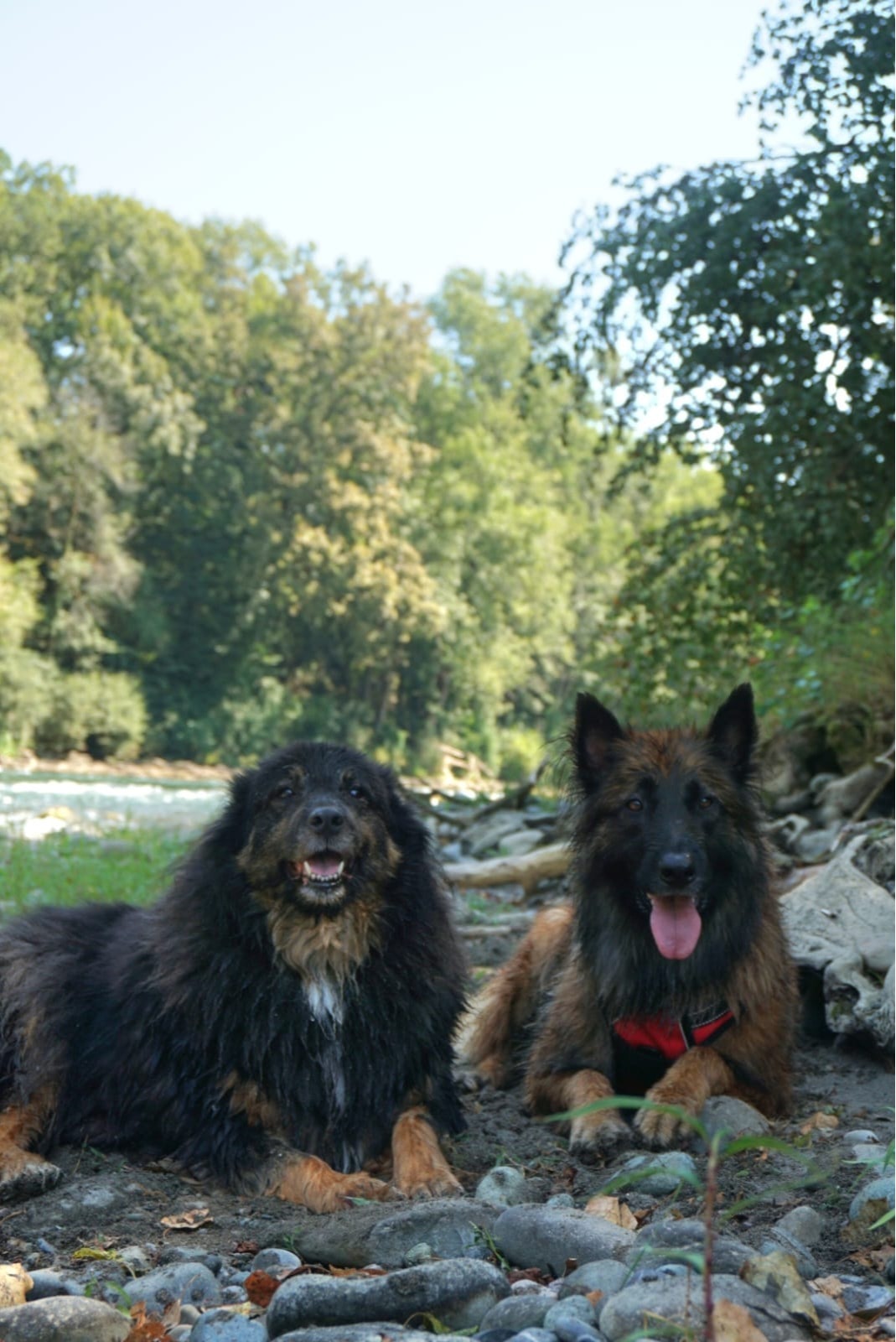 image-9