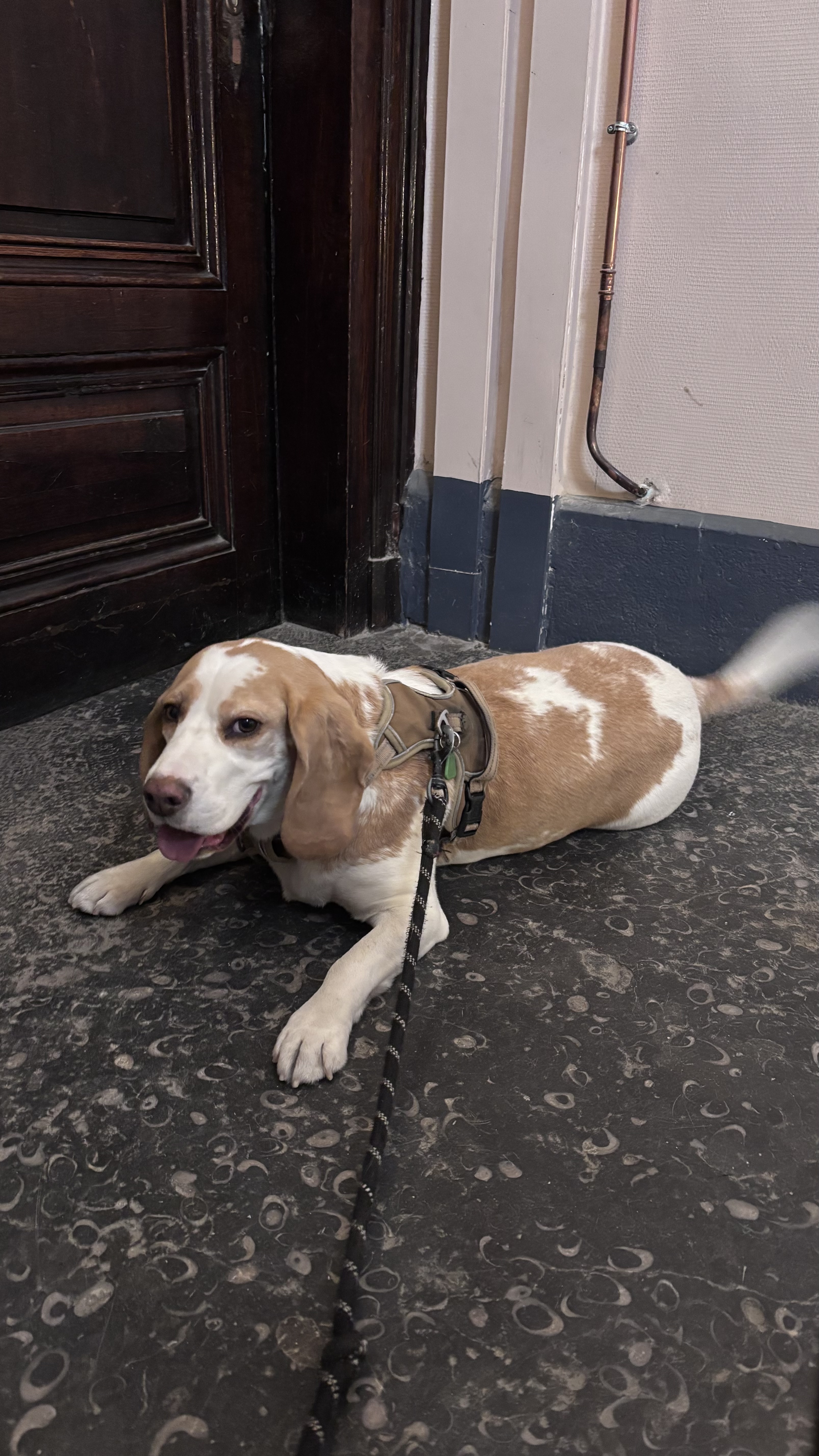 image-10