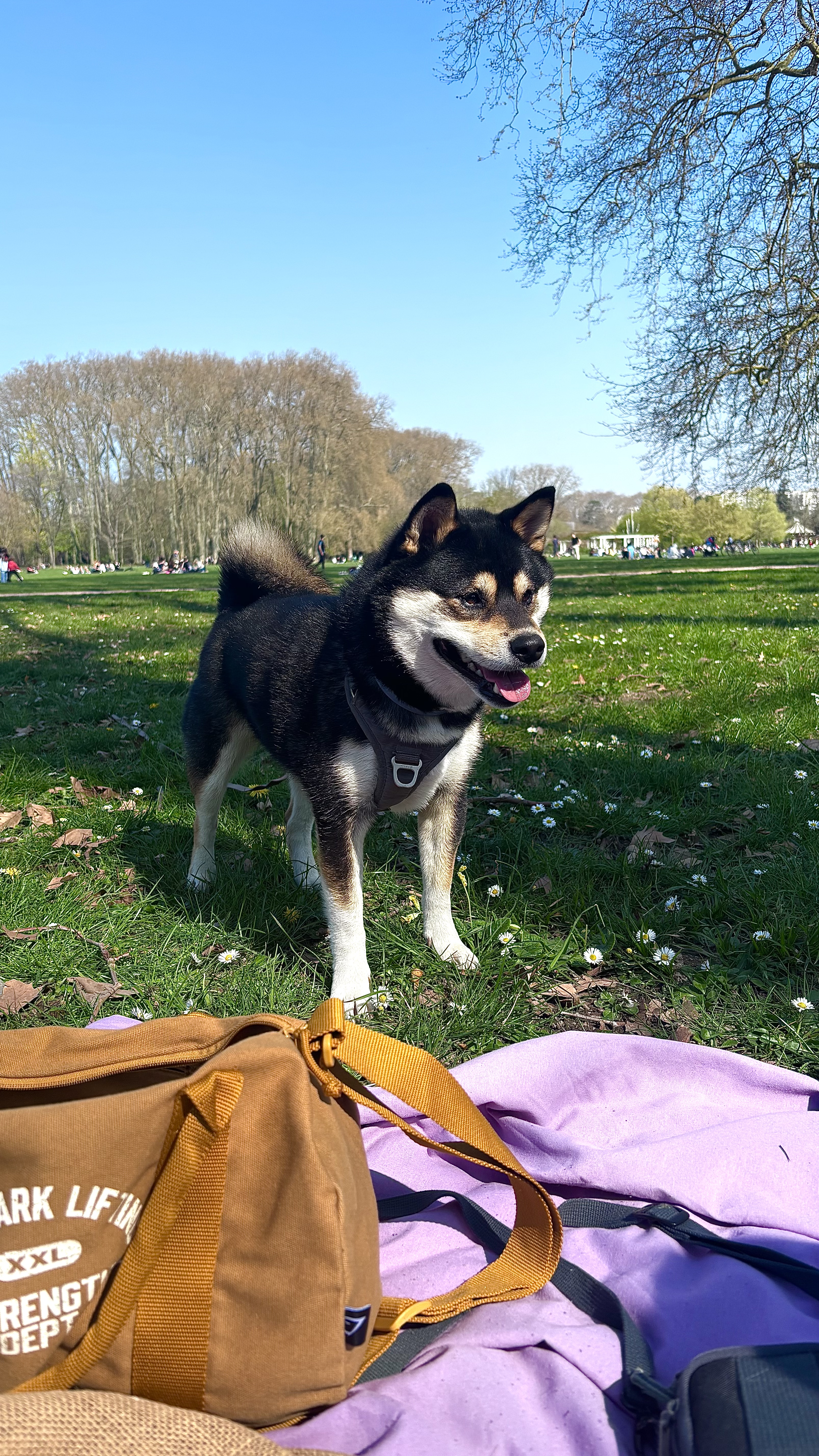 image-16