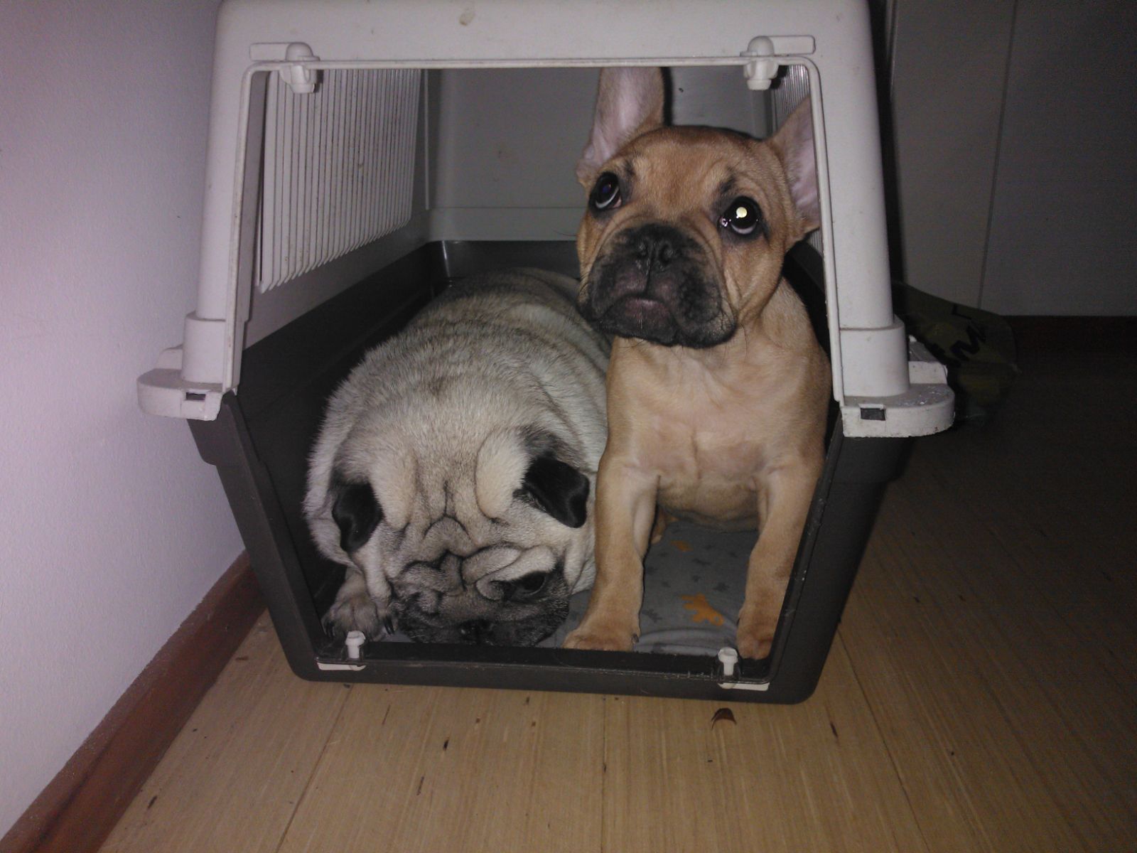 image-8