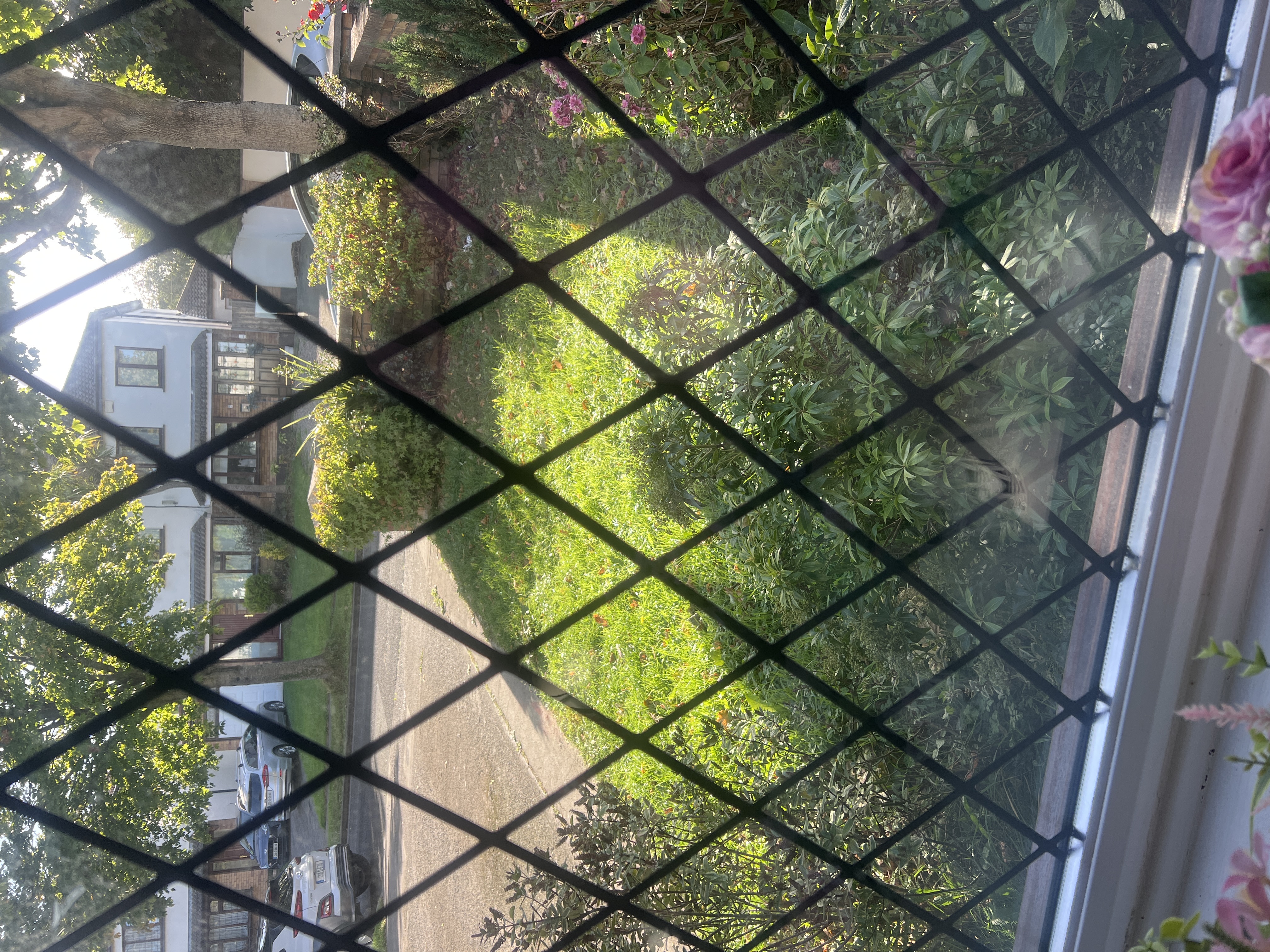 image-13