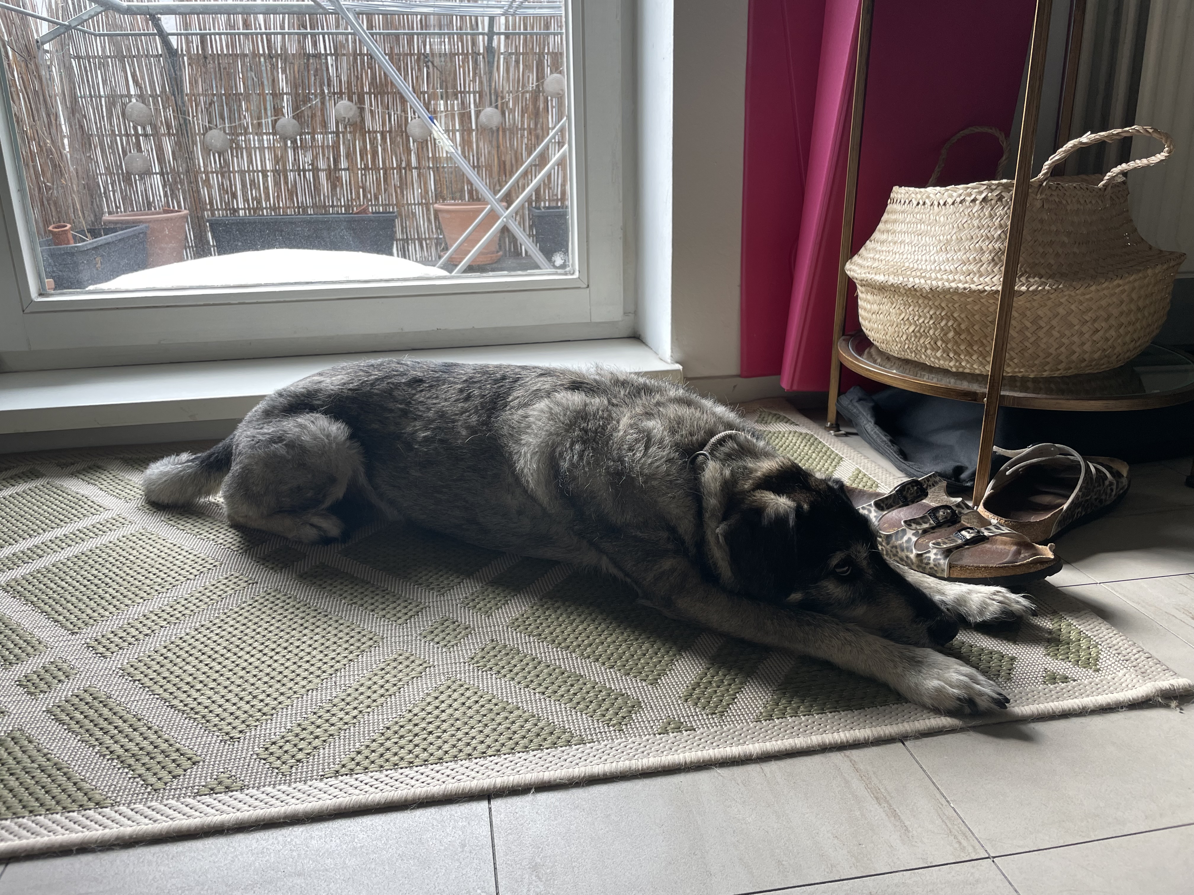 image-13