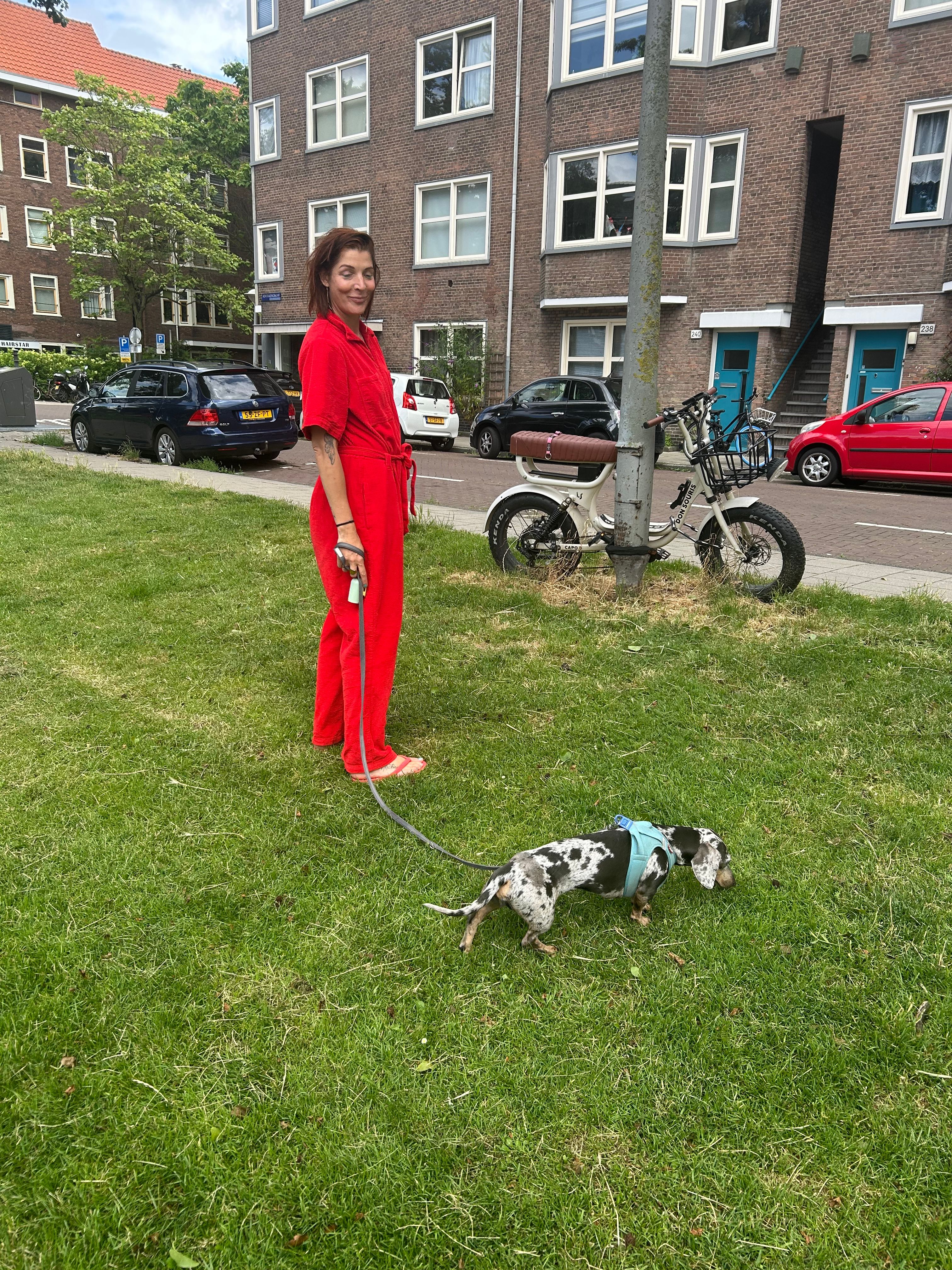 image-7