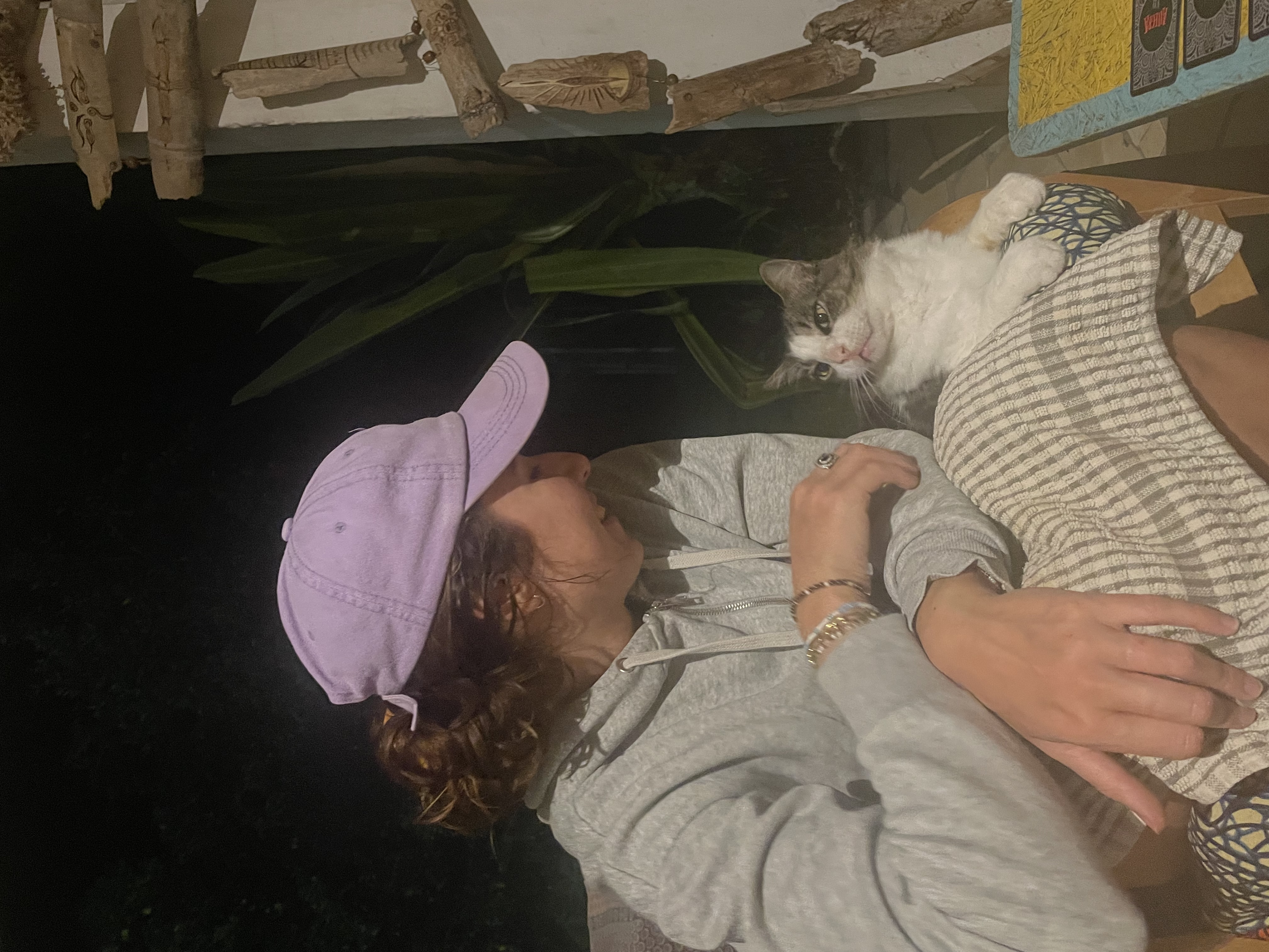 image-13