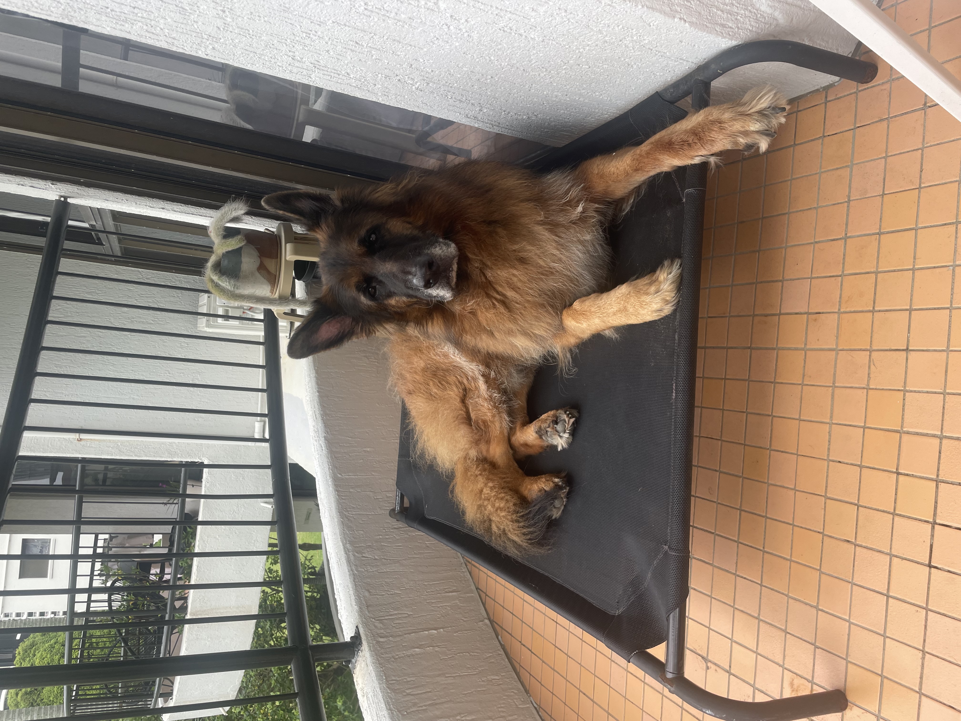 image-7