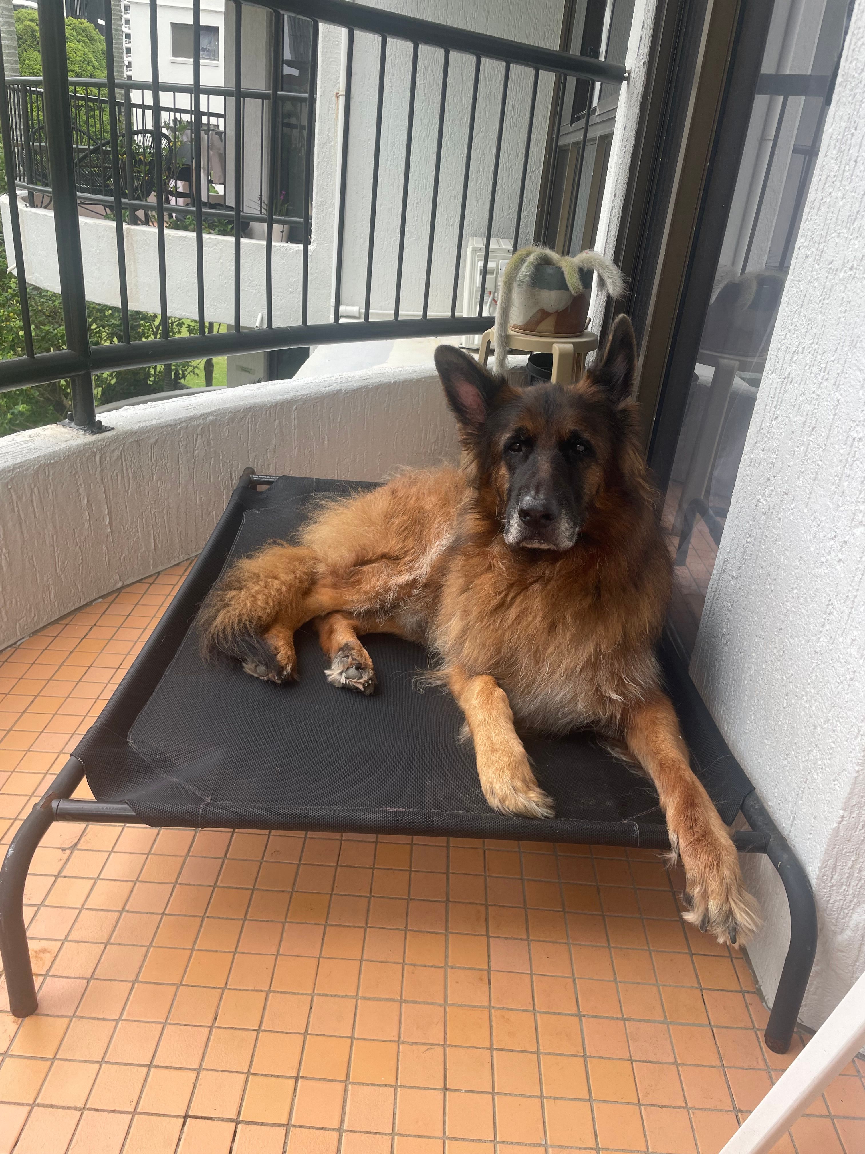 image-7